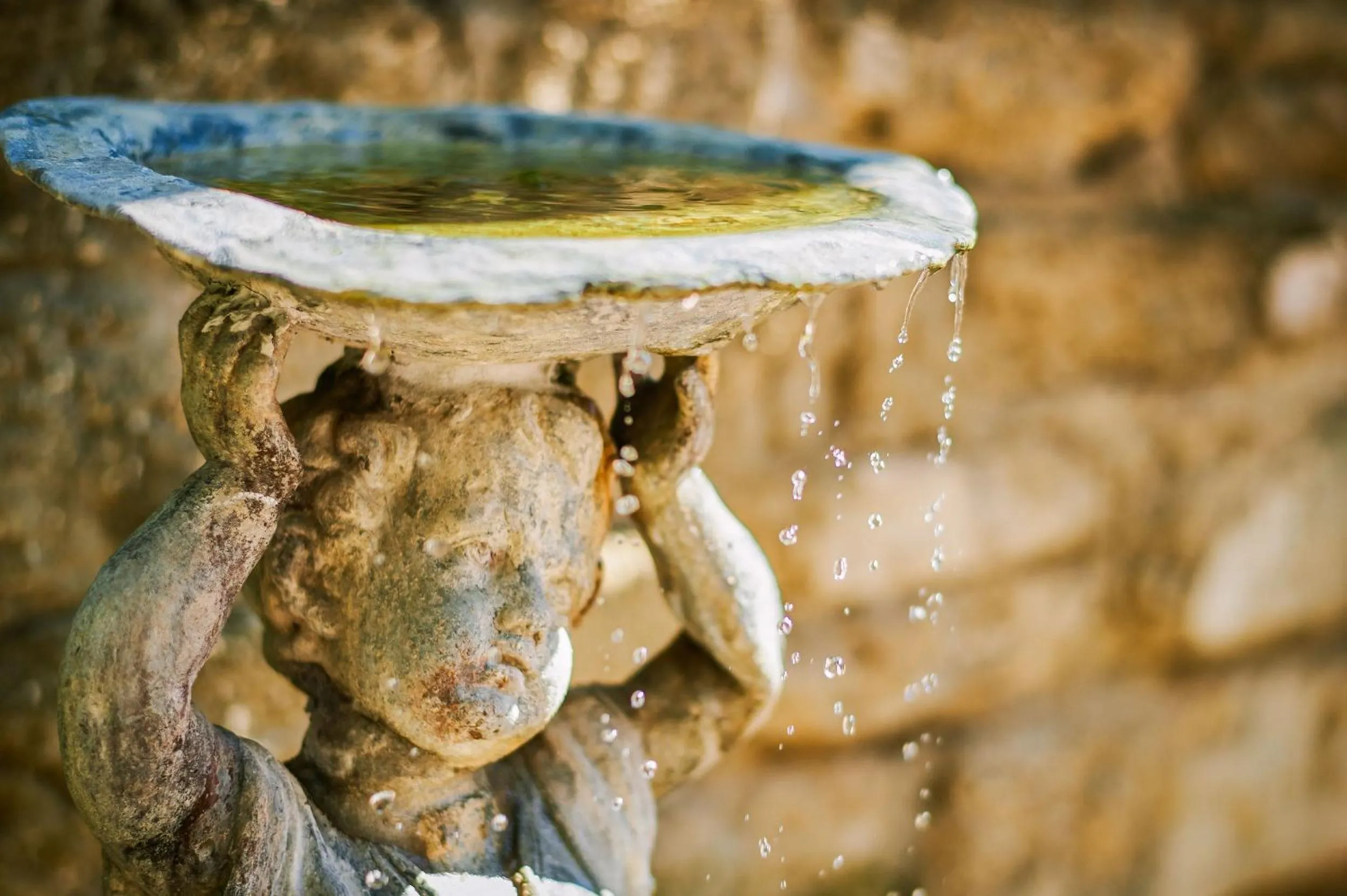 Decorative detail in The Collector Inn (Adults Only) - Saint Augustine