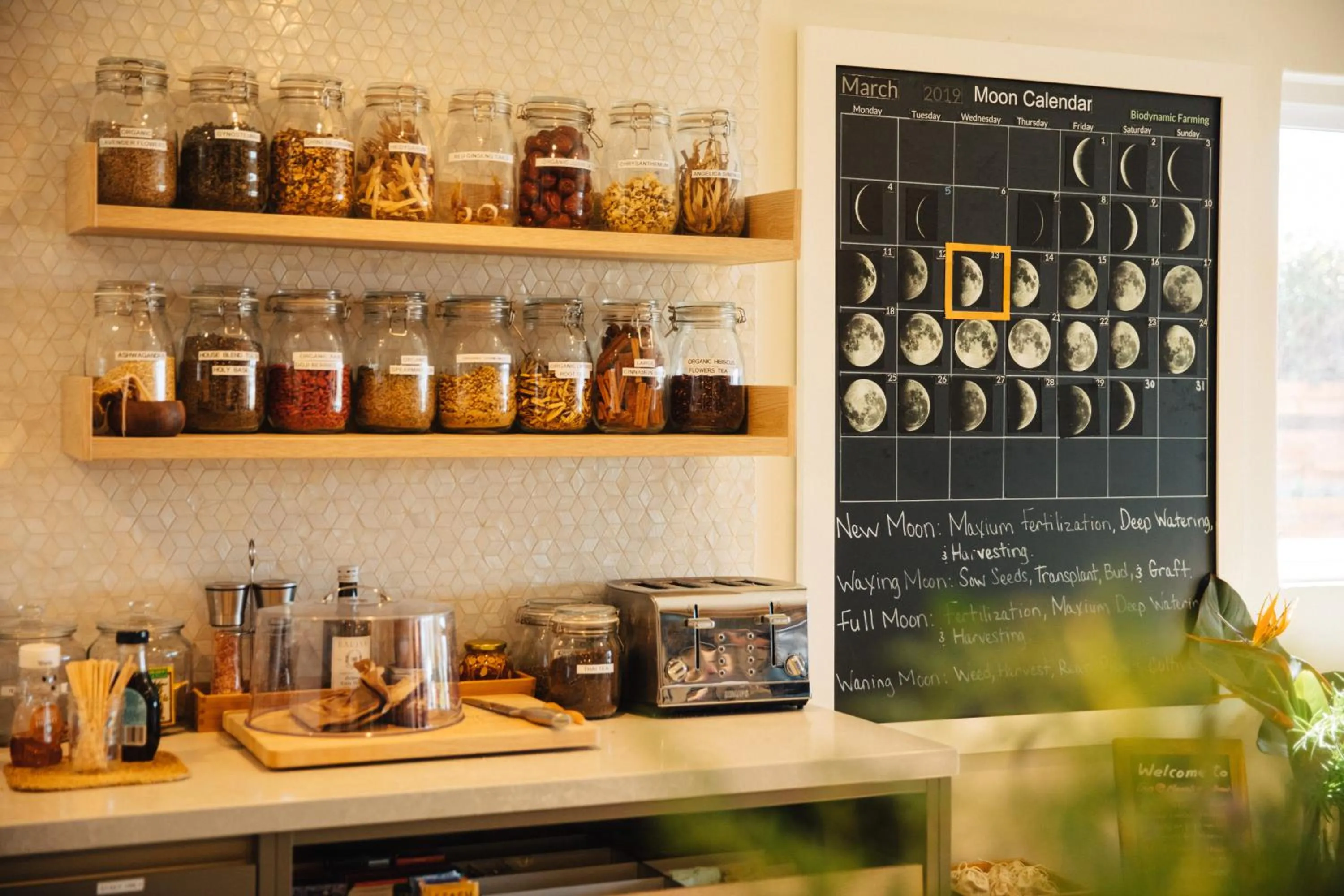 Lounge or bar in Inn at Moonlight Beach