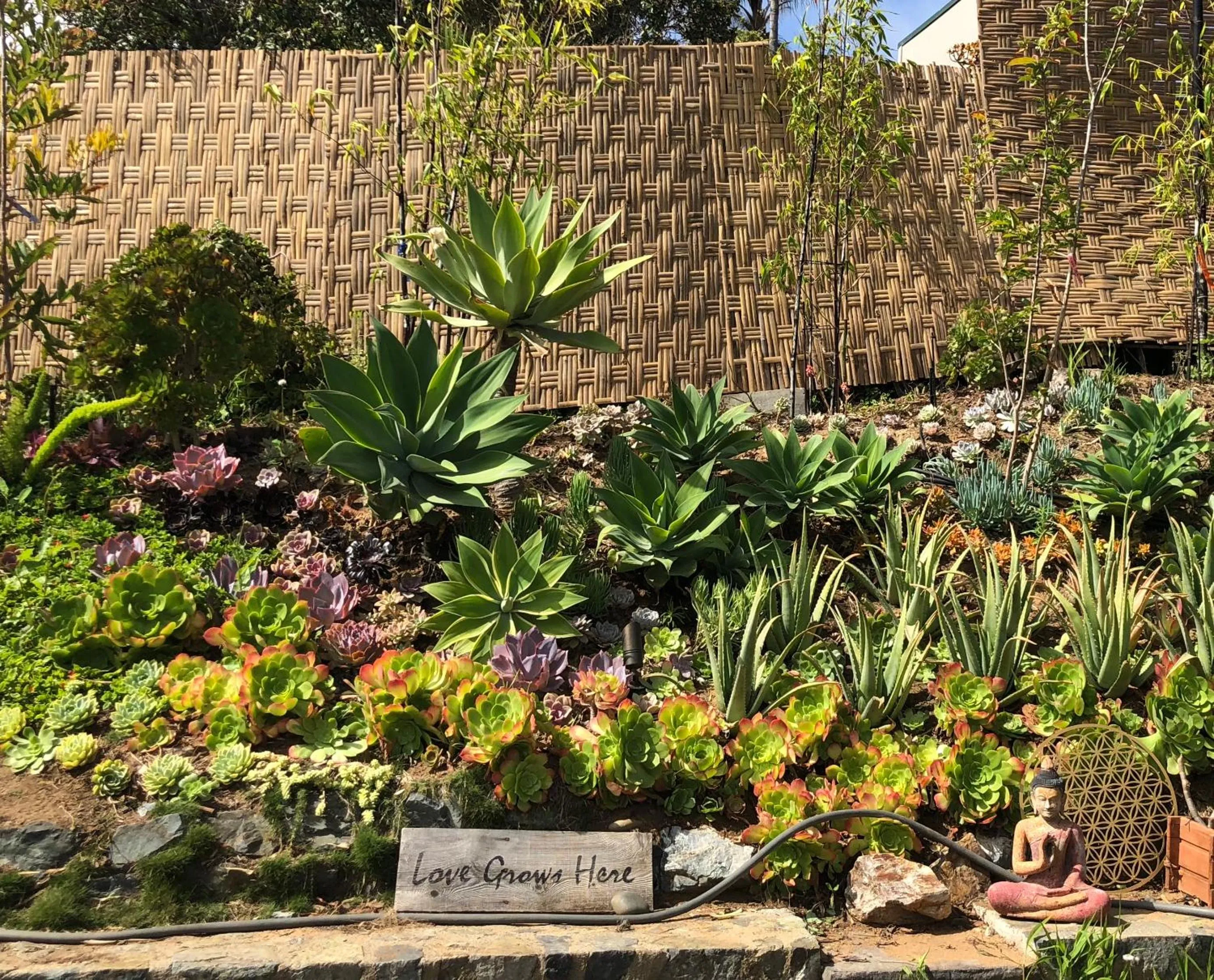 Day in Inn at Moonlight Beach