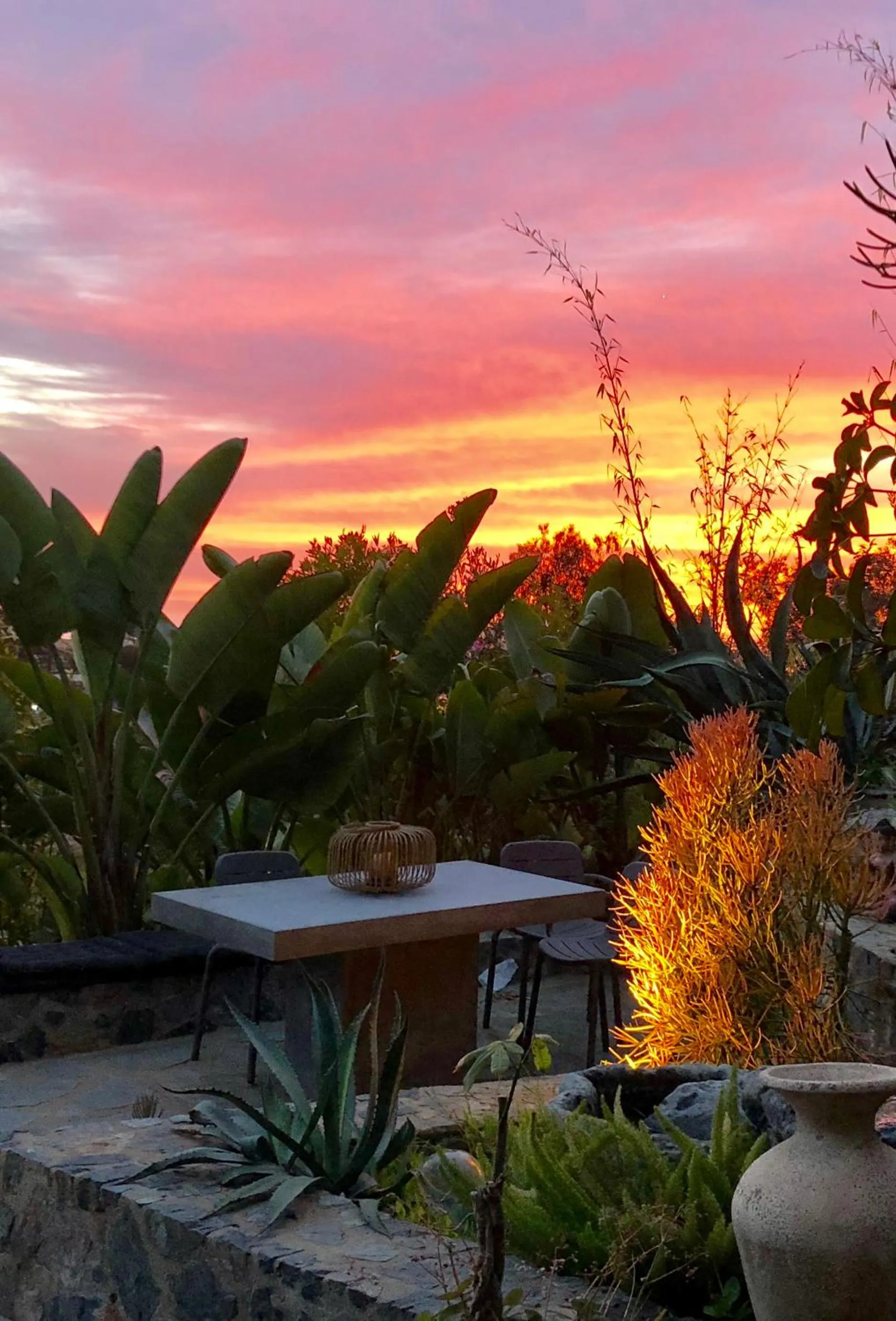 Natural landscape in Inn at Moonlight Beach