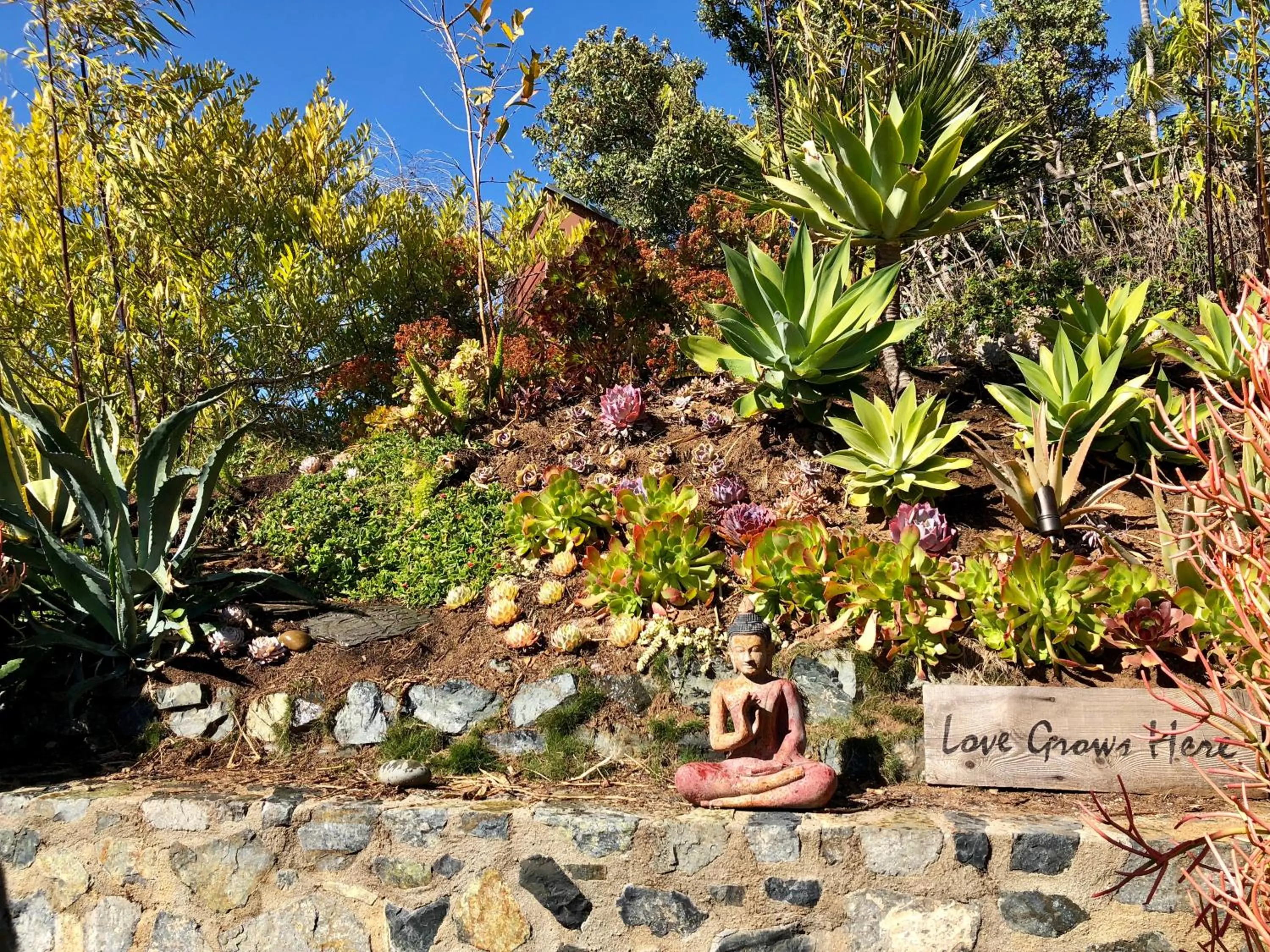 Day in Inn at Moonlight Beach