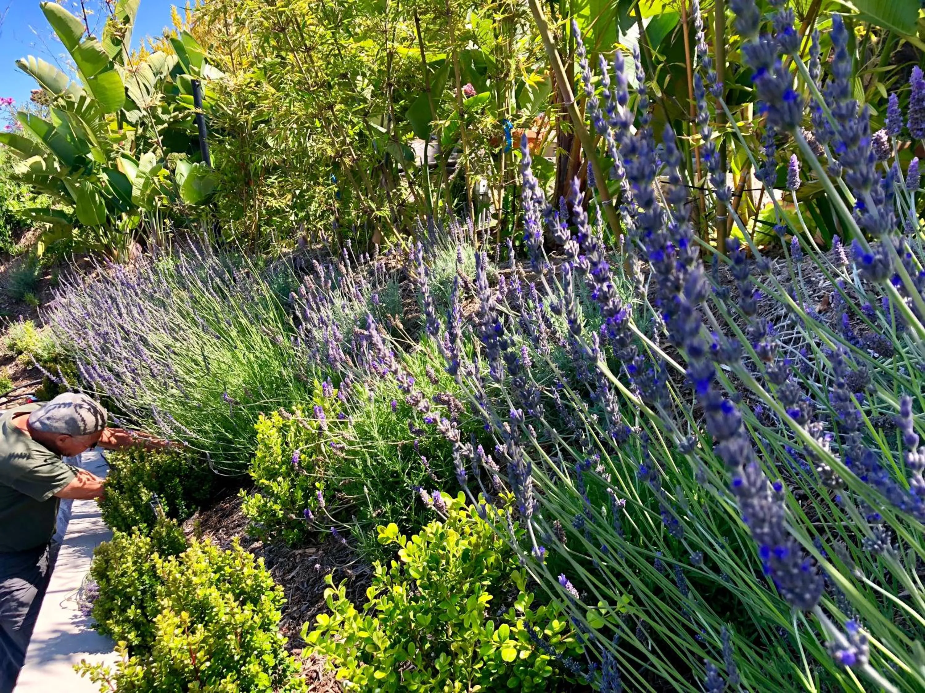 Day in Inn at Moonlight Beach
