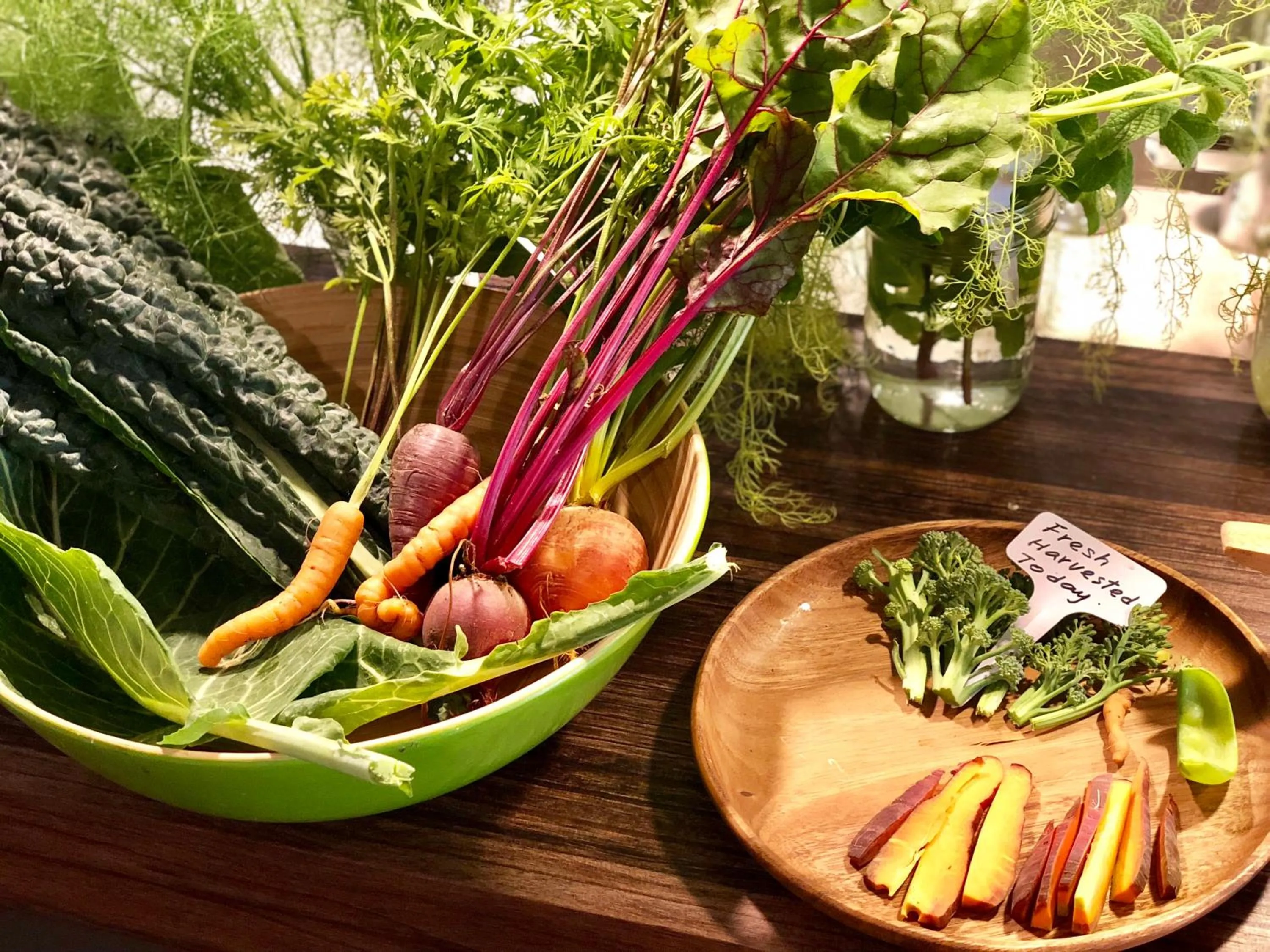 Garden in Inn at Moonlight Beach