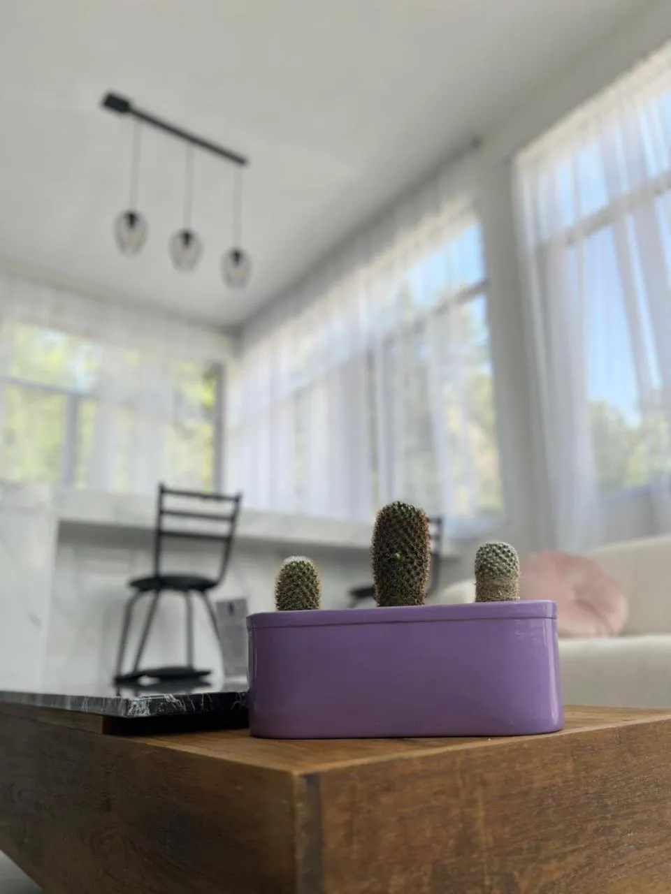 Rancho Macloy Hotel Spa & Social Events