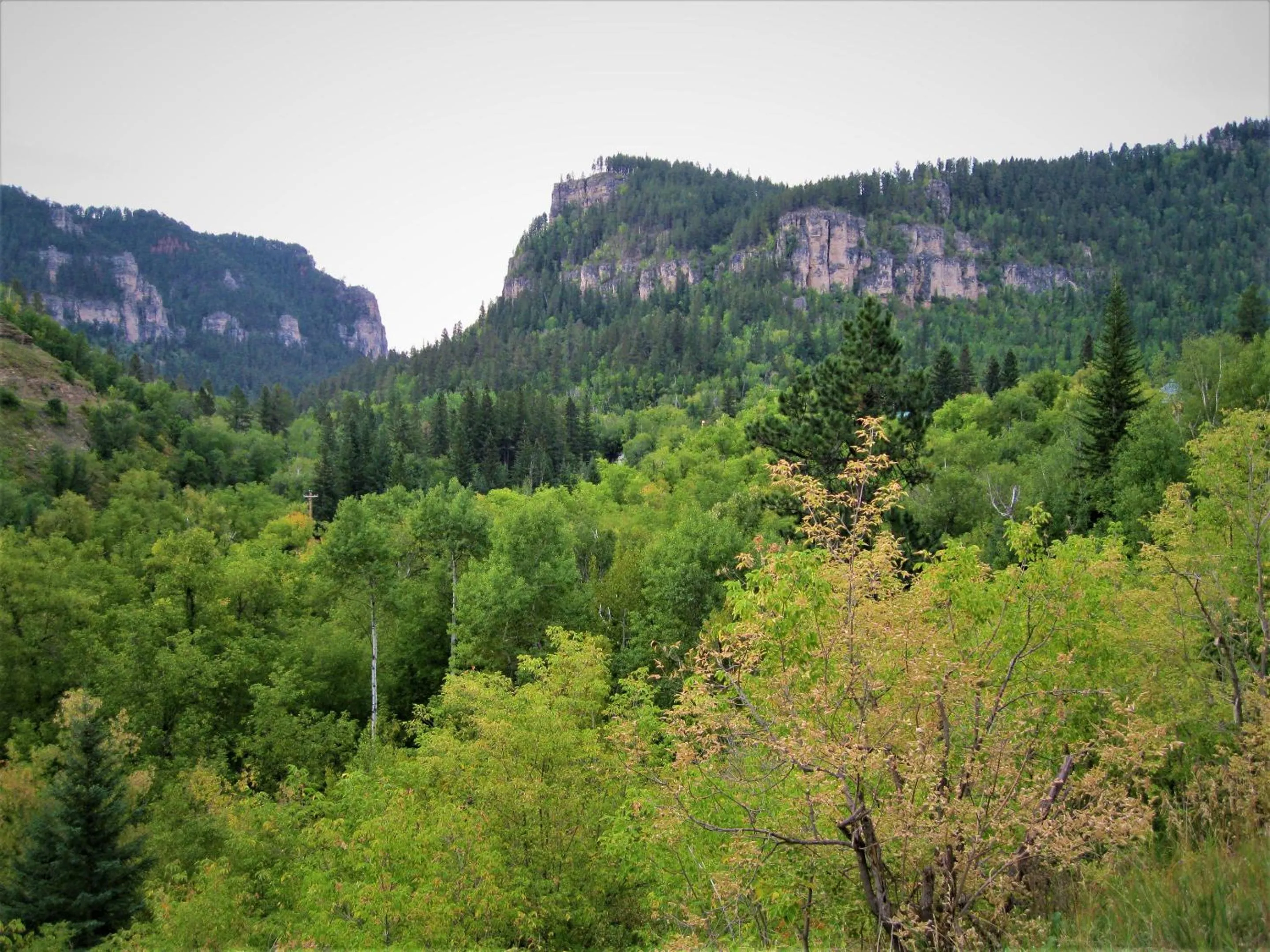View (from property/room) in Spearfish Canyon Lodge