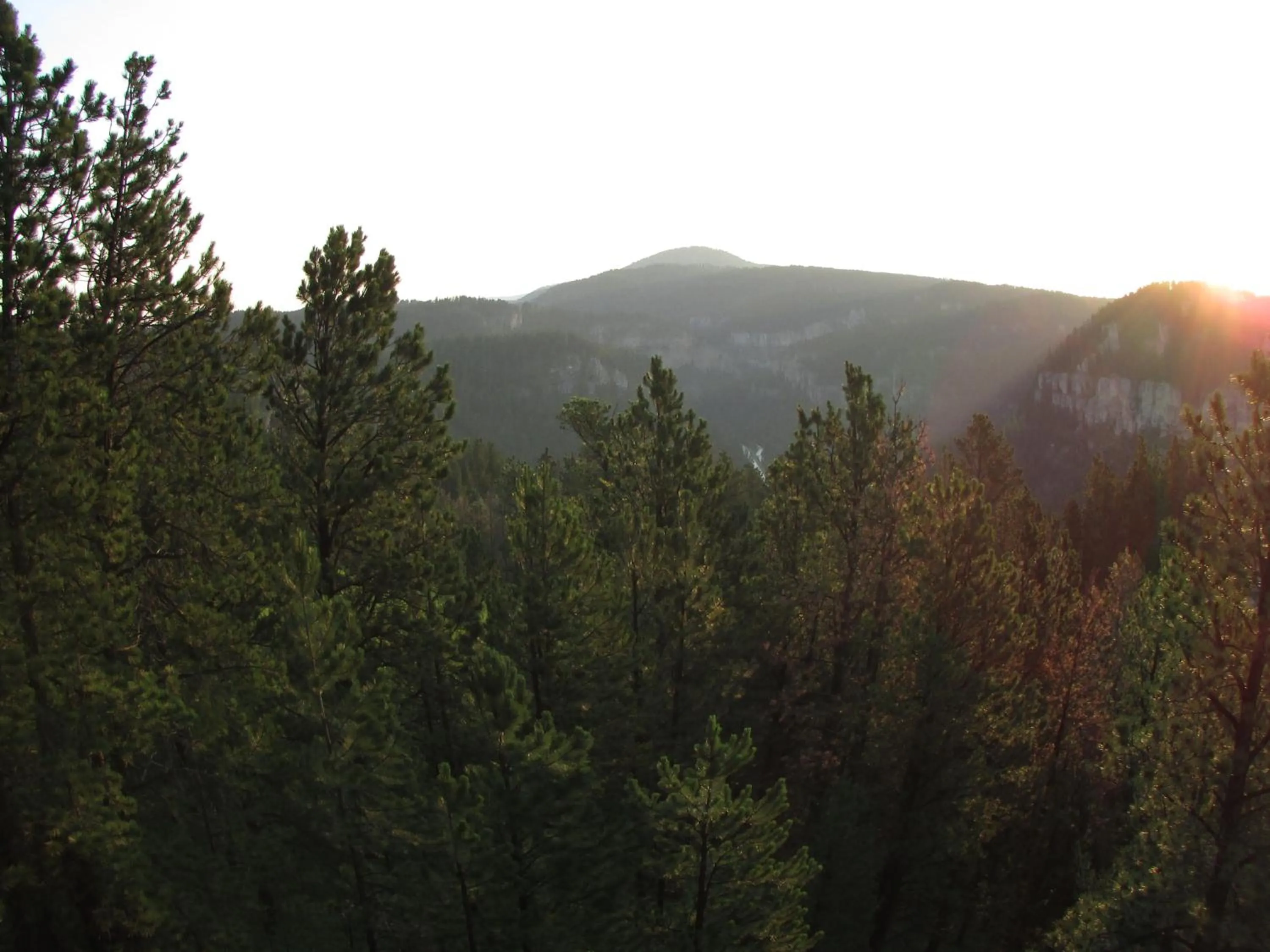 Natural landscape in Spearfish Canyon Lodge