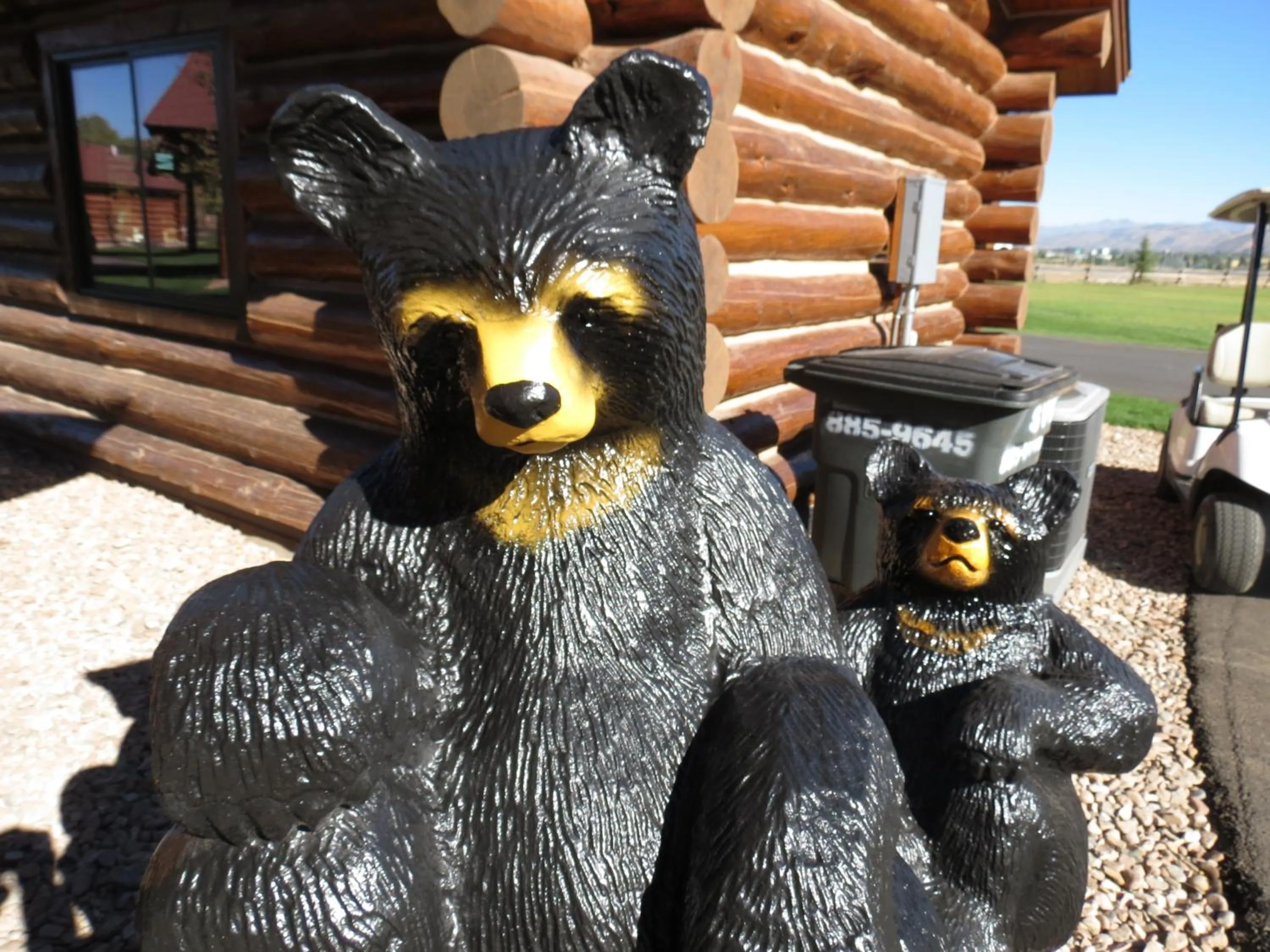 Decorative detail in Kodiak Mountain Resort