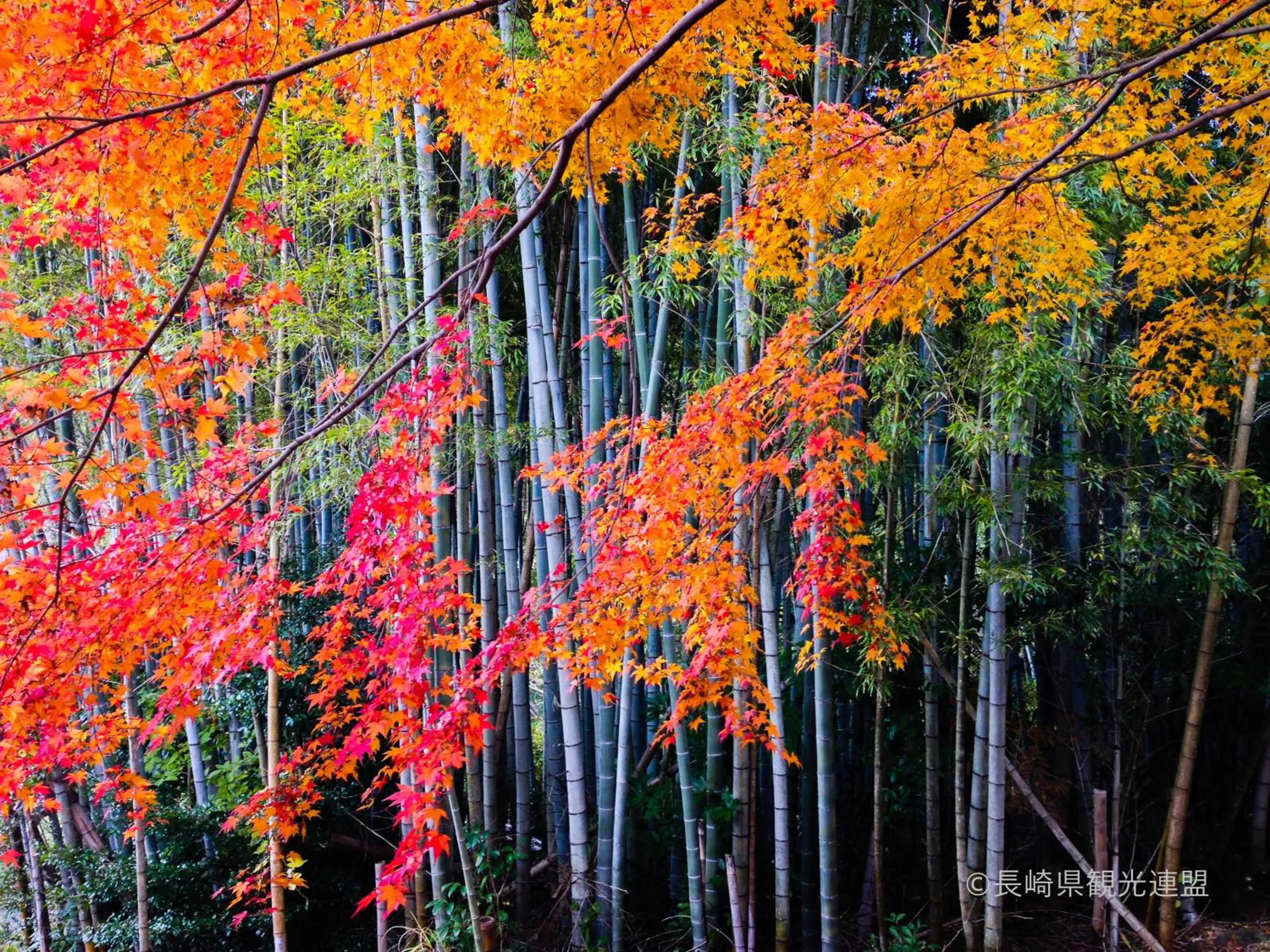 Nearby landmark in Hotel Okura JR Huis Ten Bosch