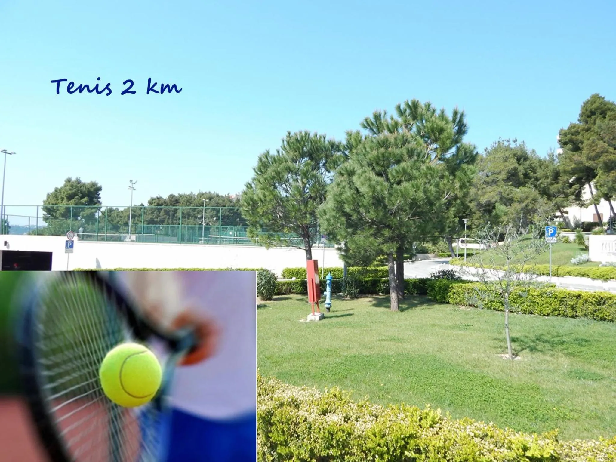 Area and facilities in Hotel Sunce