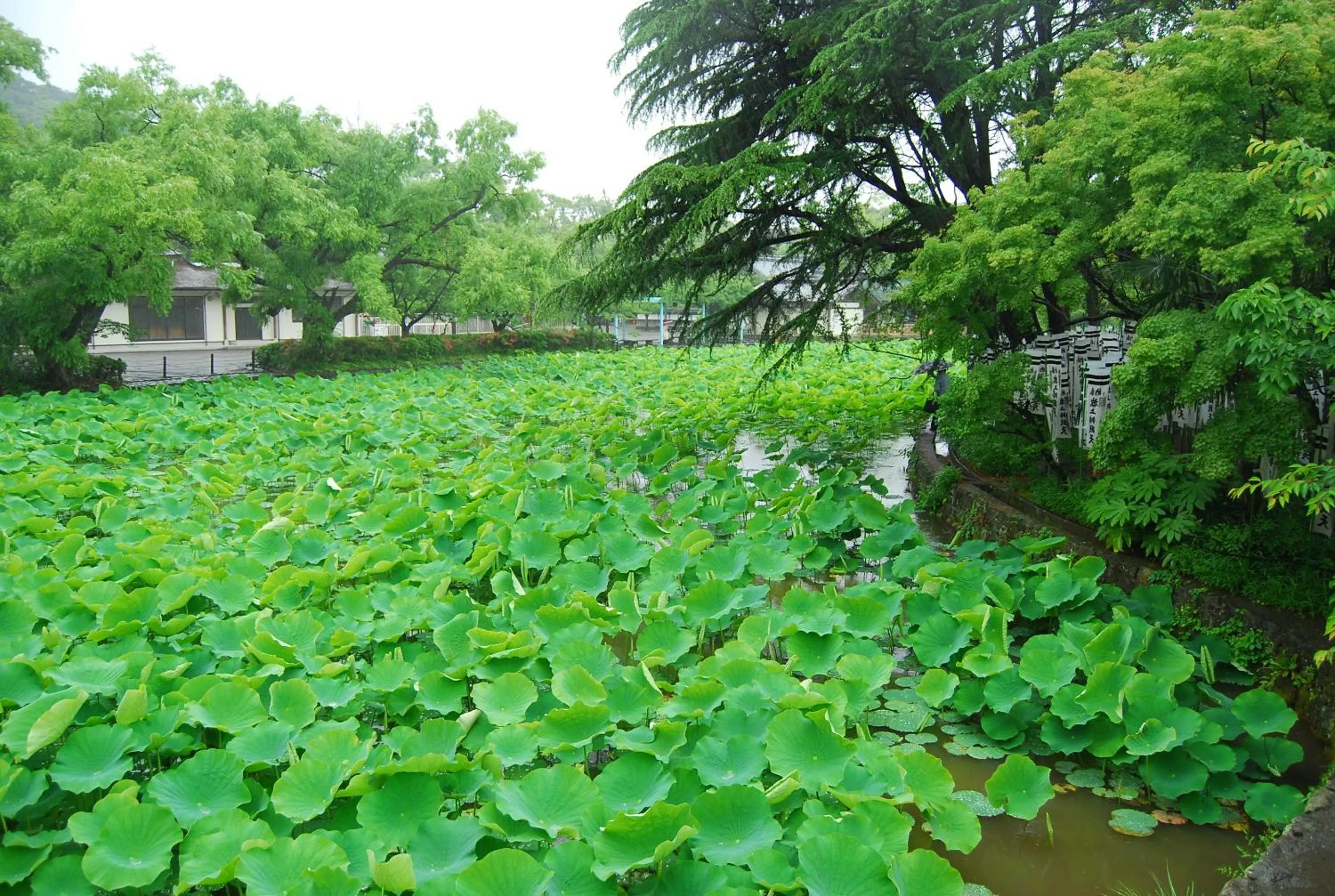 Off site in Enoshima Guest House 134