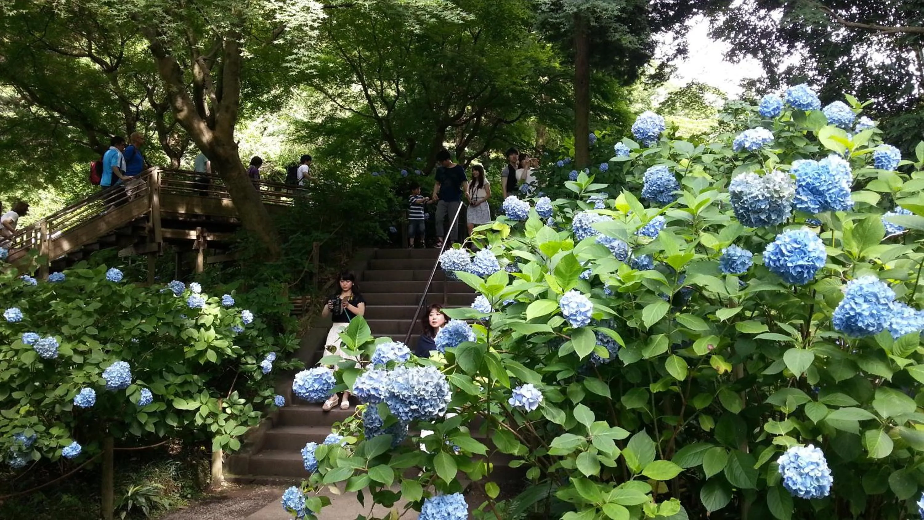 Off site in Enoshima Guest House 134