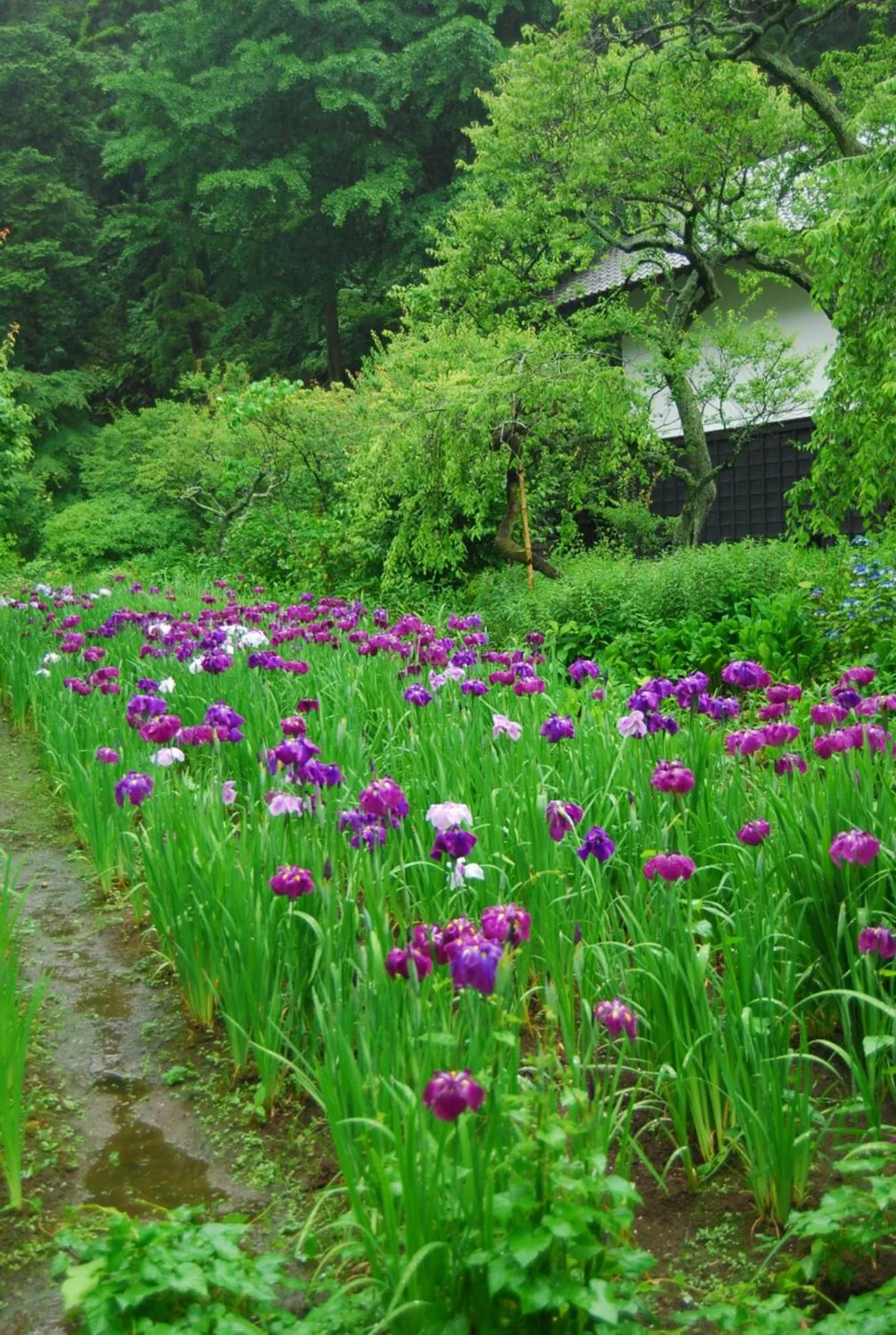 Off site in Enoshima Guest House 134