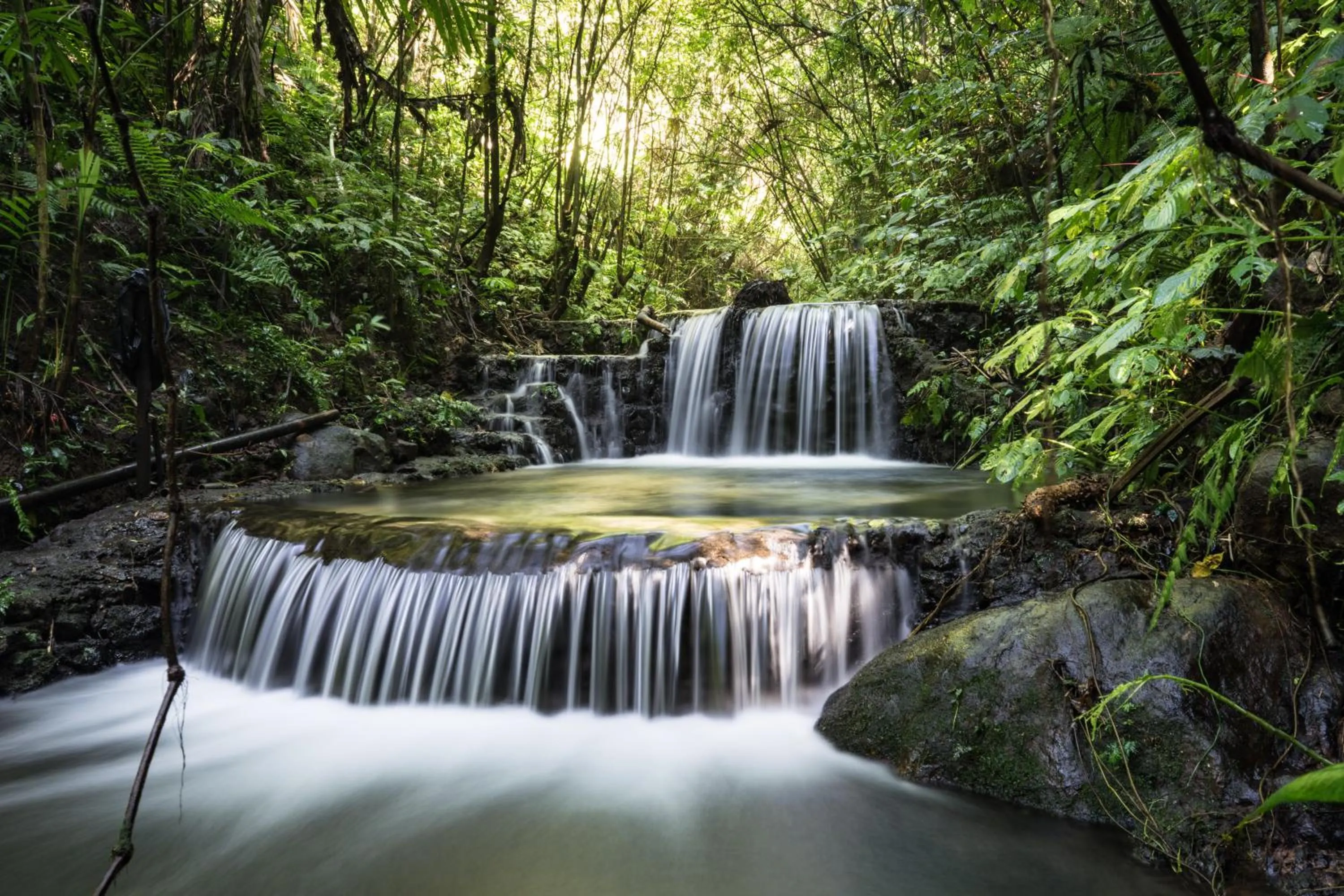 On site in Alassari Plantation