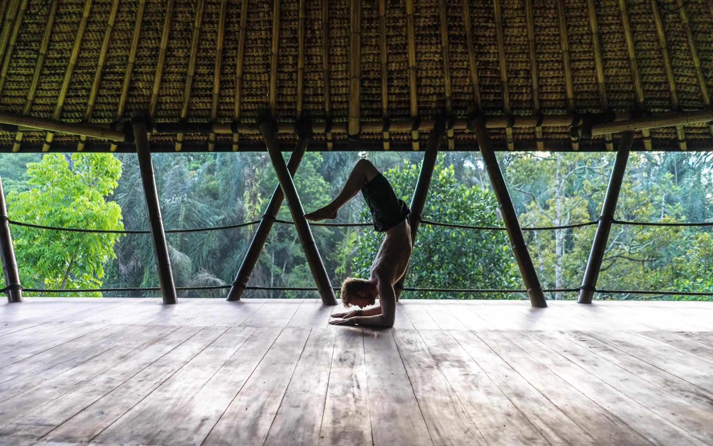 Day in Alassari Plantation