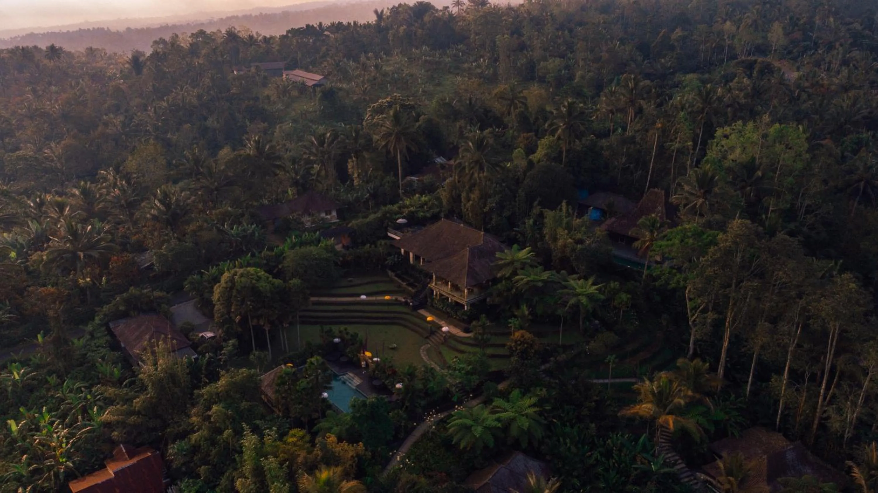 Area and facilities in Alassari Plantation