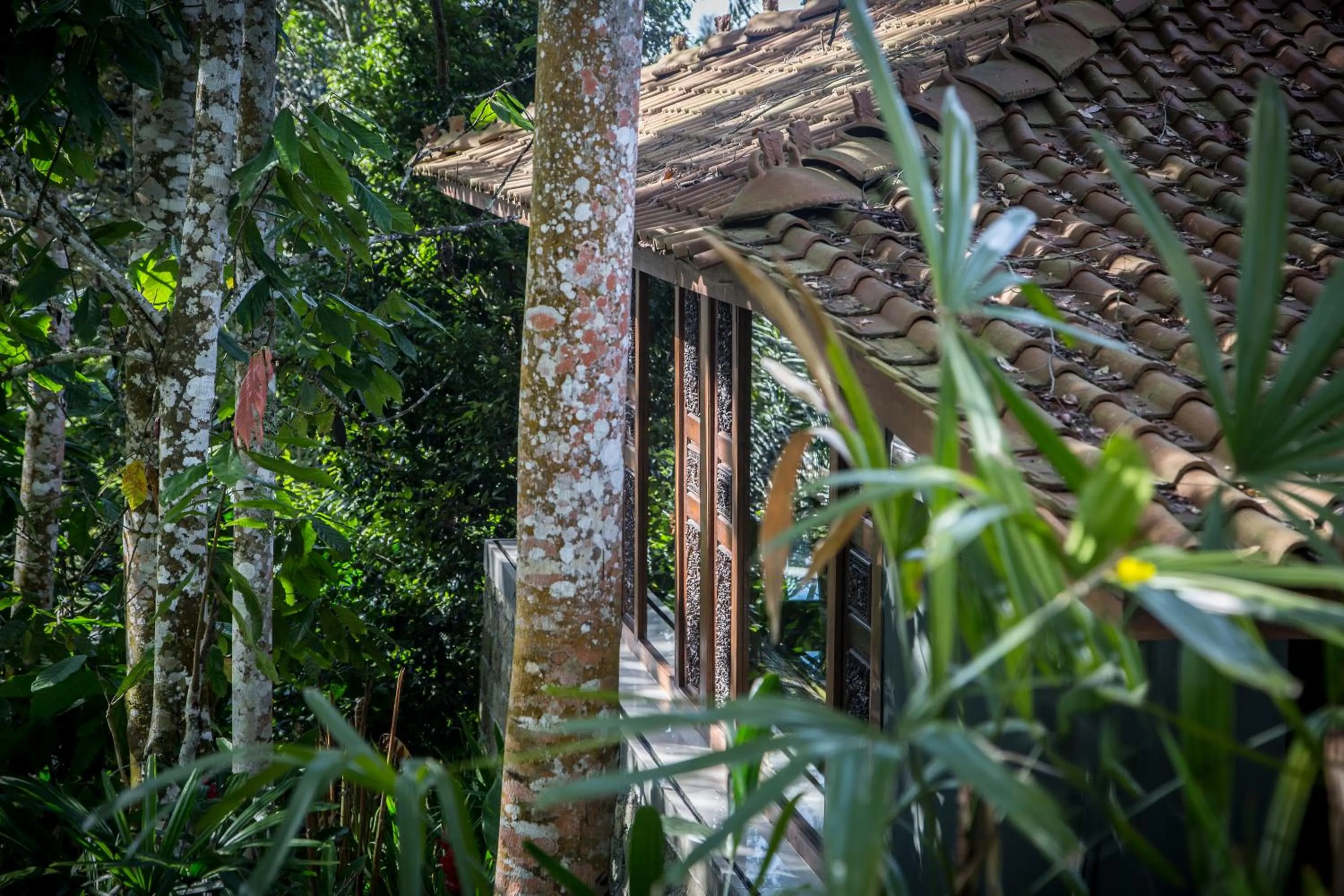 Bedroom in Alassari Plantation