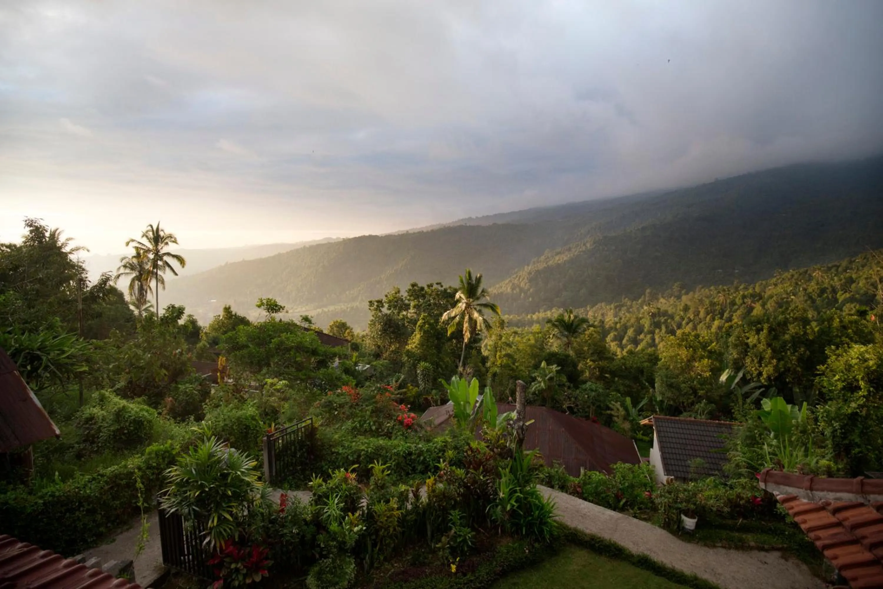 Natural landscape in Aris Homestay and Warung Made