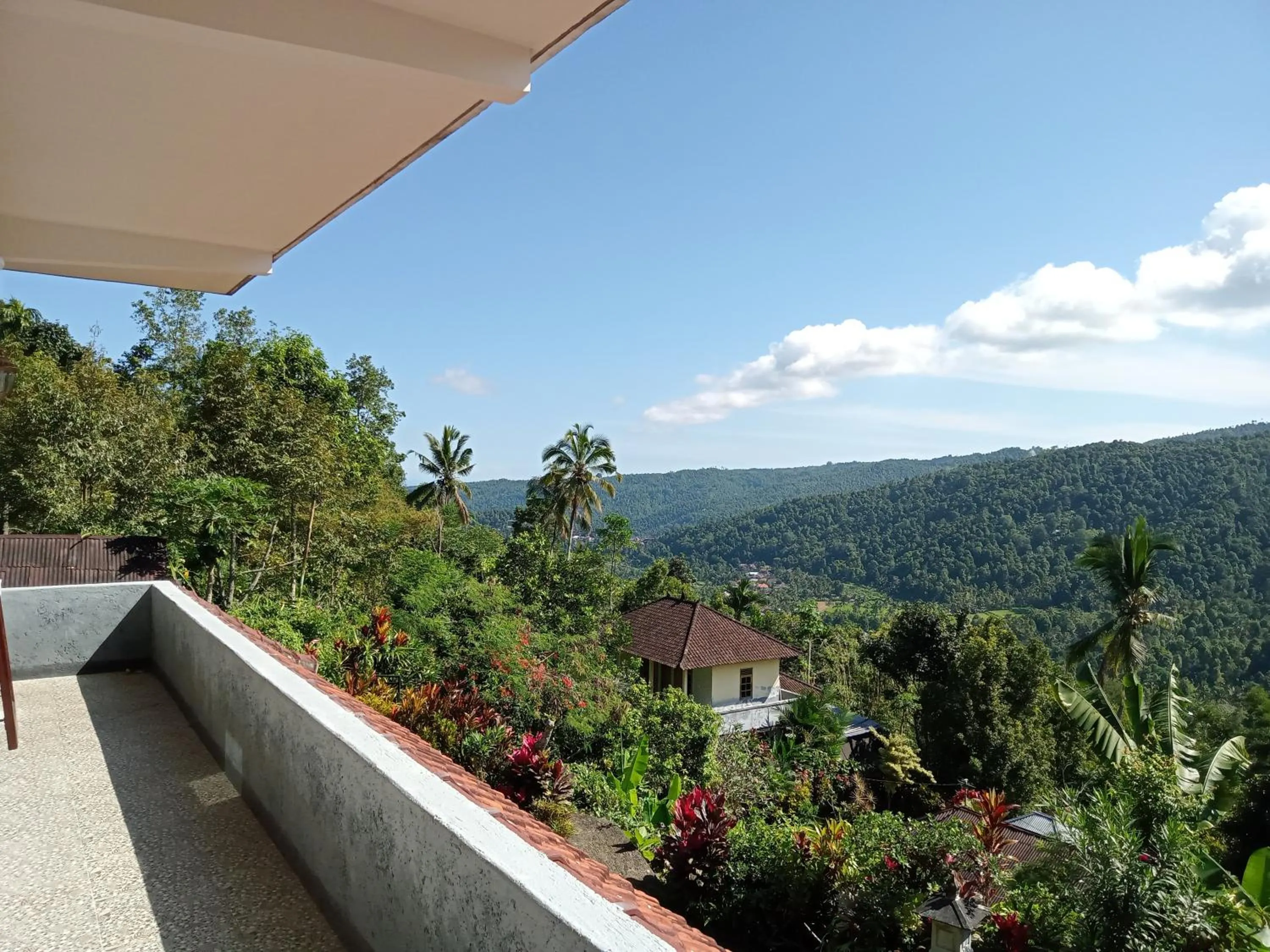 View (from property/room) in Aris Homestay and Warung Made