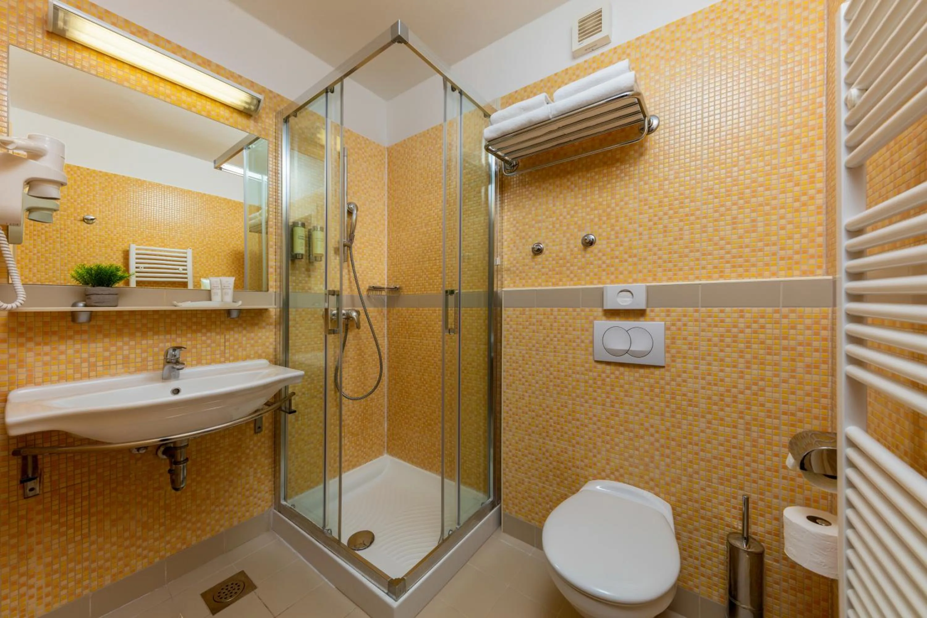 Shower in Hotel Aurora