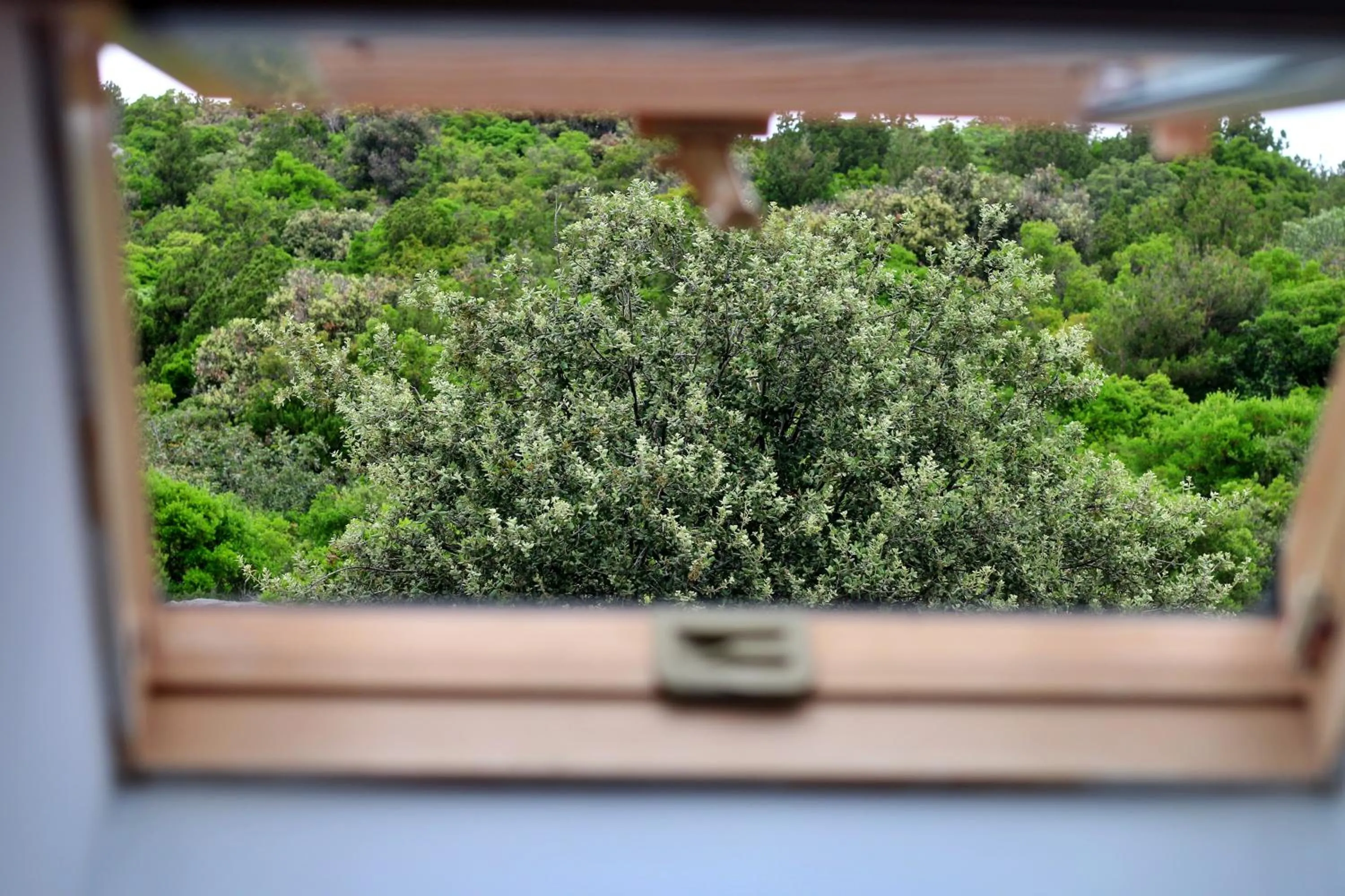 View (from property/room) in Hotel Bozica Dubrovnik Islands