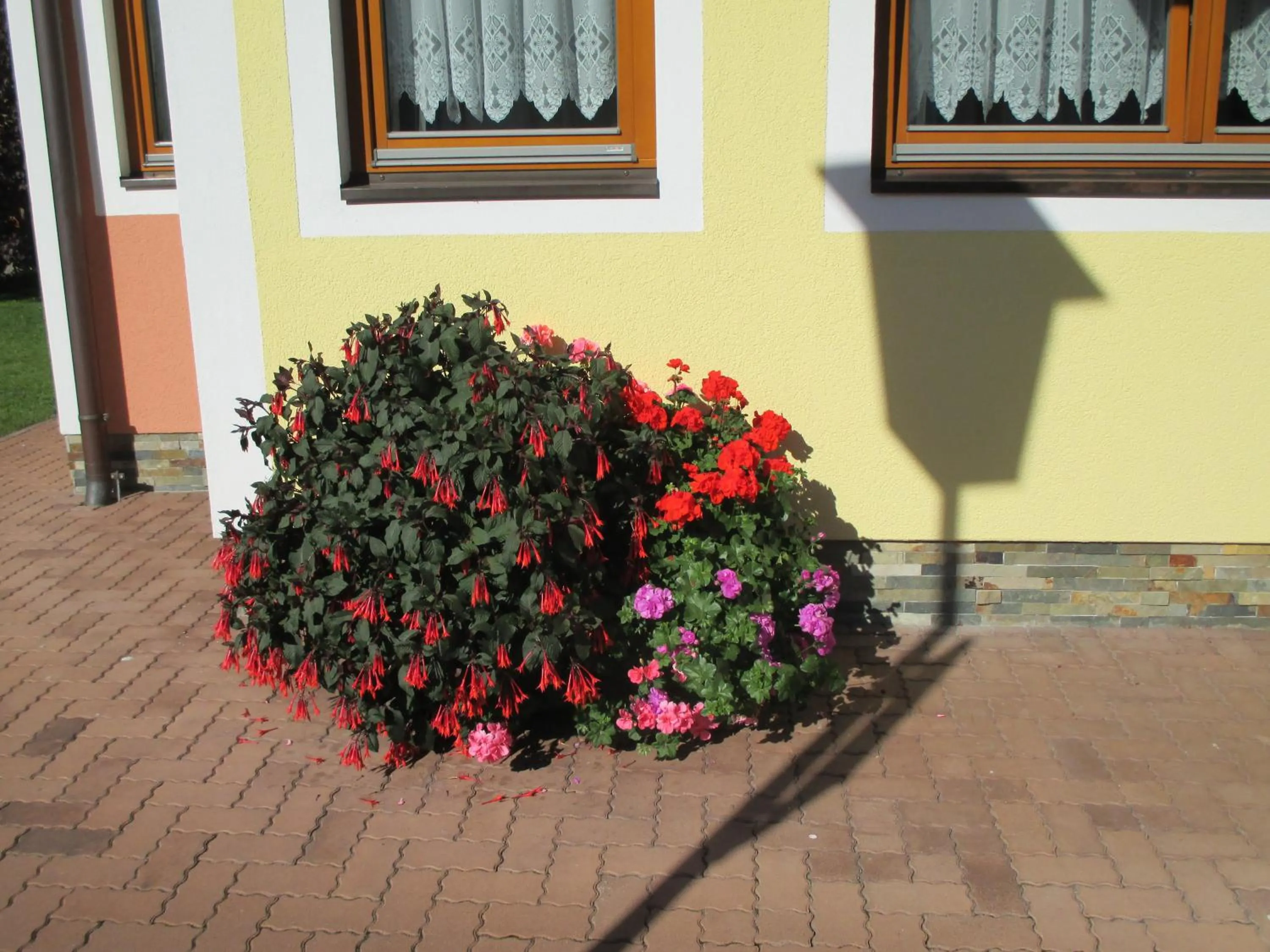 Property building in Vermietung & Verpachtung Zellermoosstraße 14