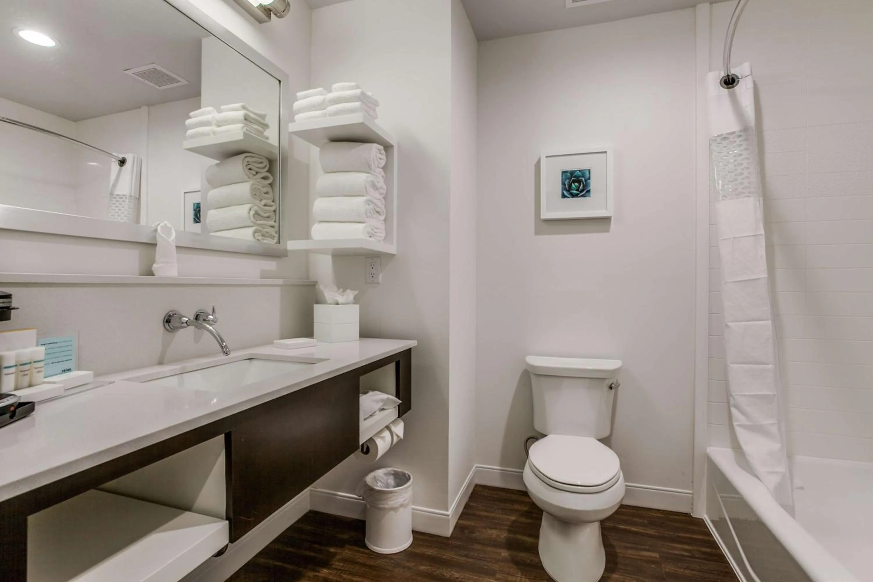 Bathroom in Hampton Inn & Suites Dallas-Central Expy/North Park Area