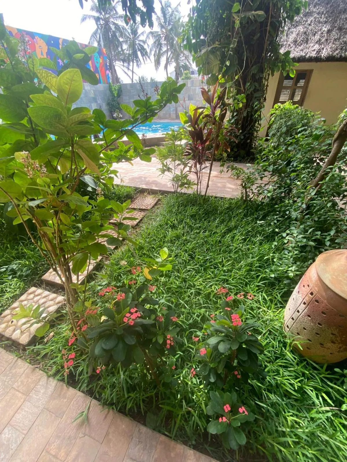 Restaurant/places to eat in Hotel Otsunami