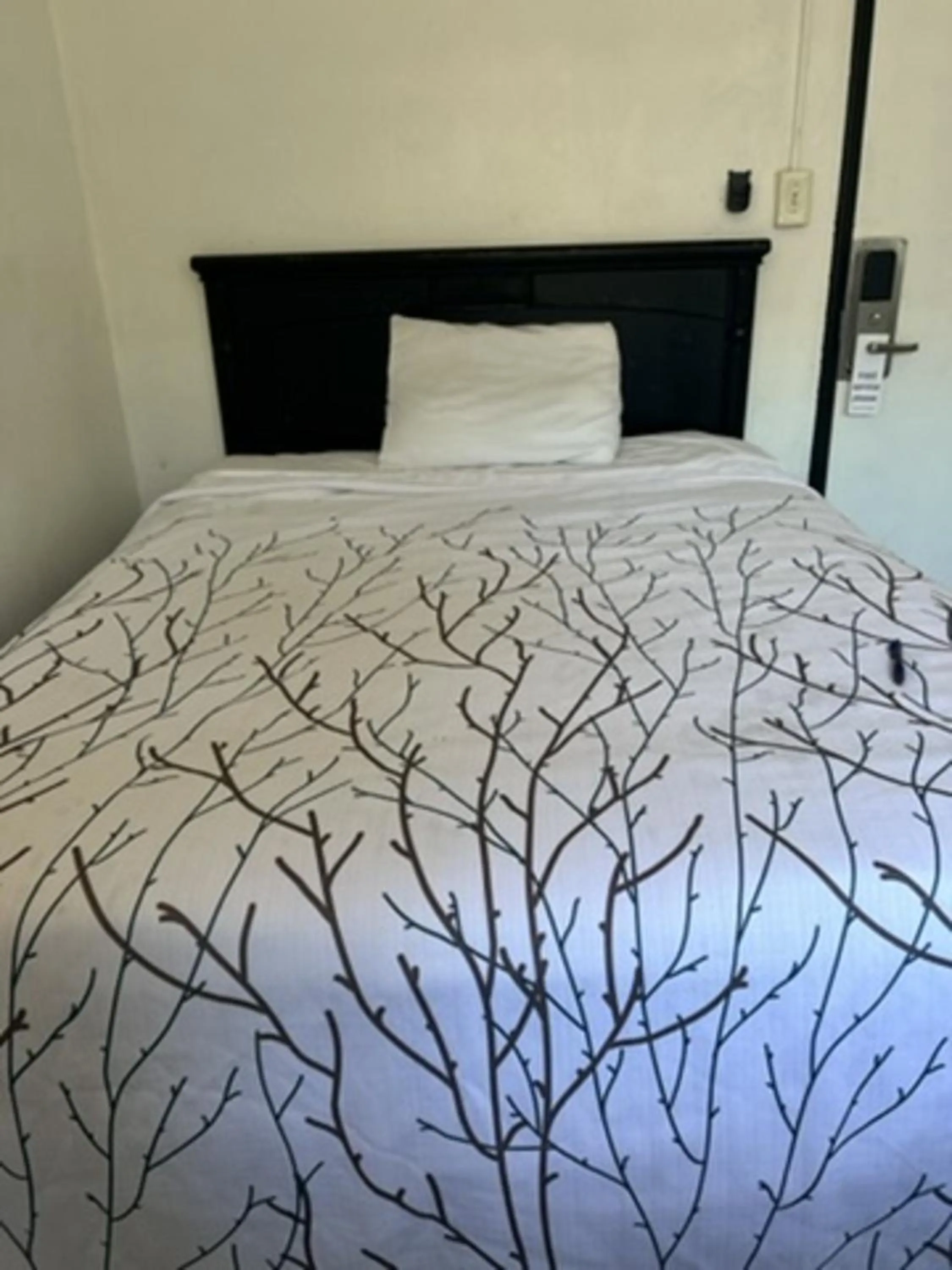 Bed in Encore Inn Inglewood