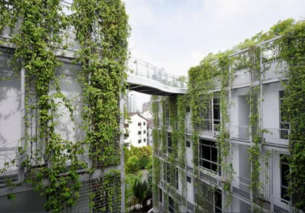 Garden in Oxley Thanksgiving Residence