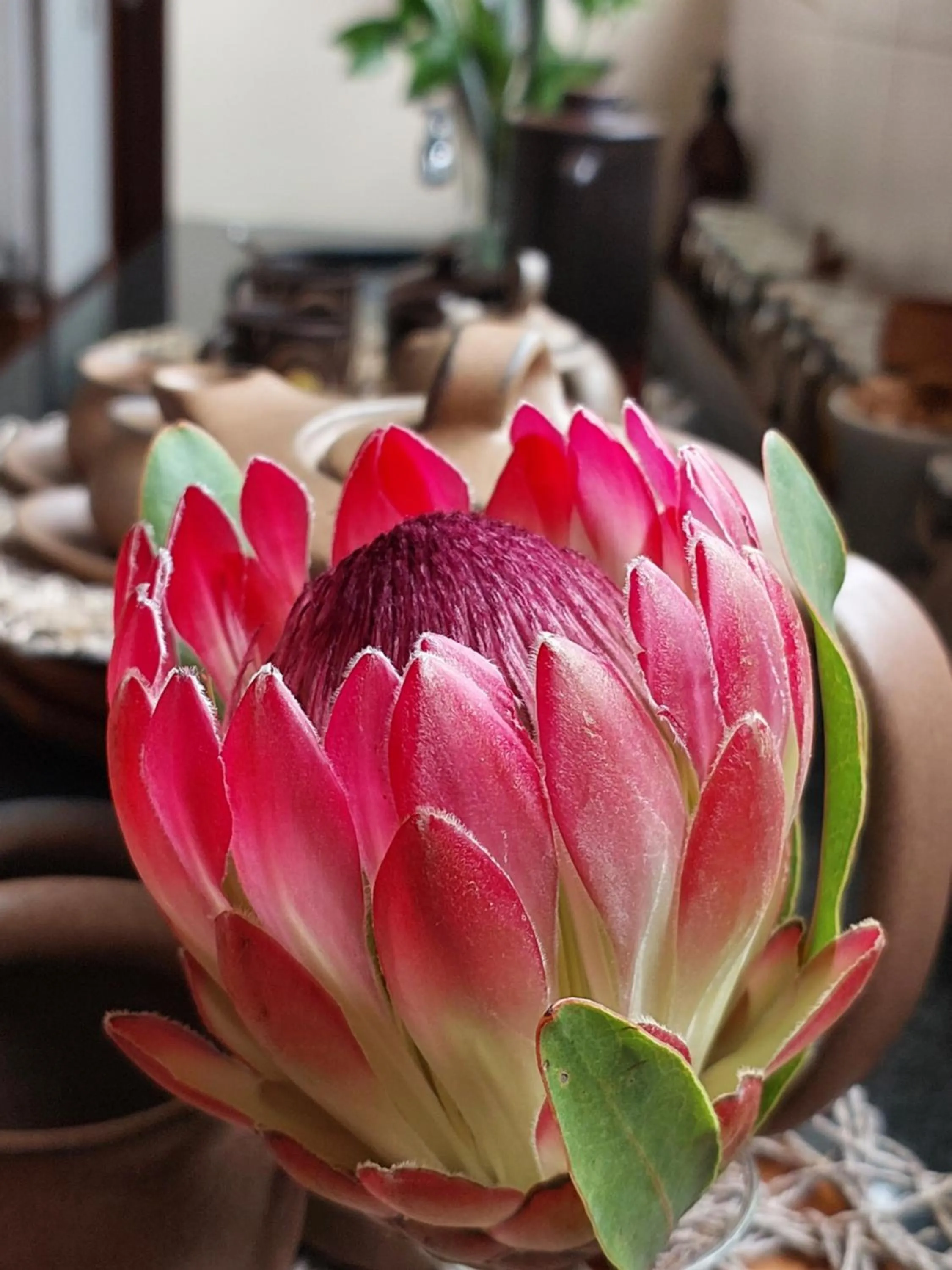 Restaurant/places to eat in Paradise Cove