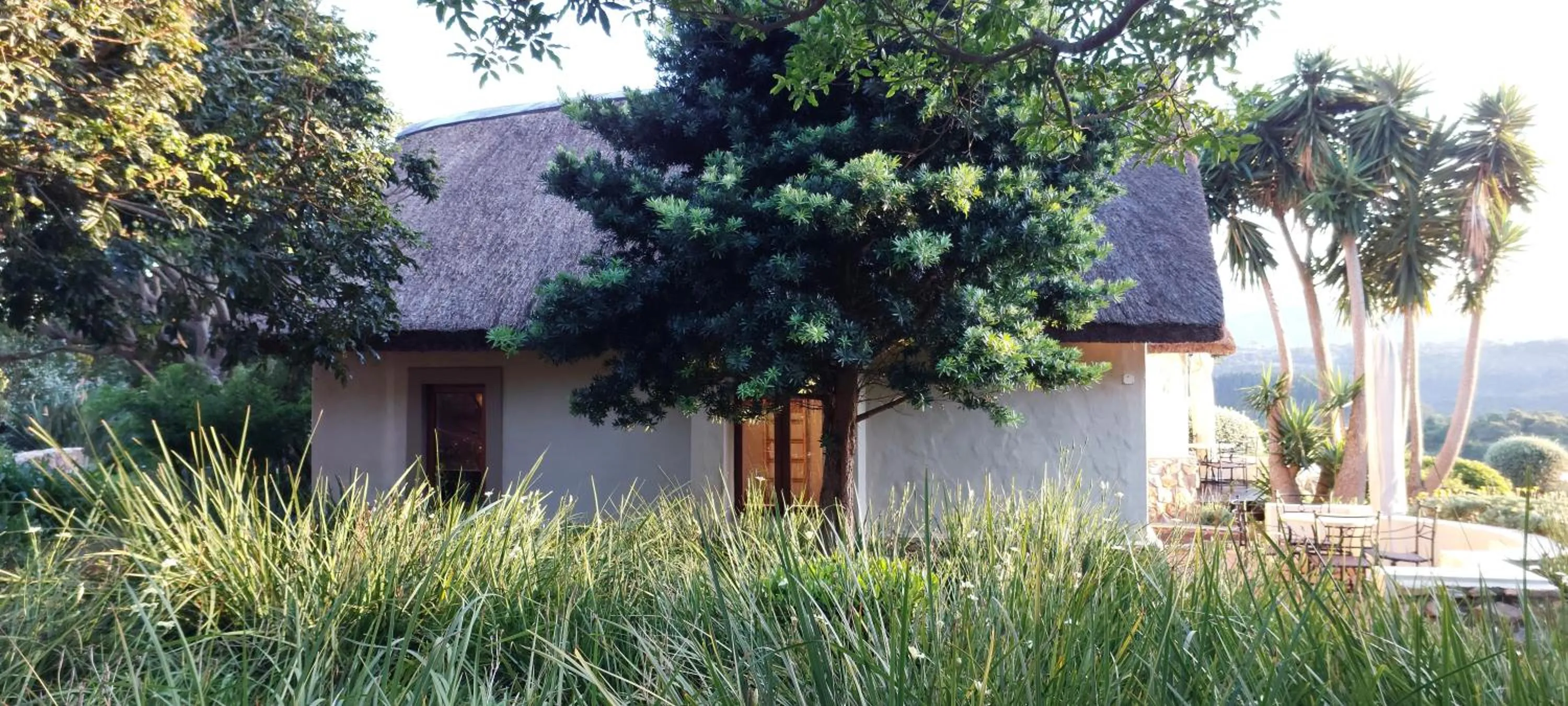 Garden view in Paradise Cove