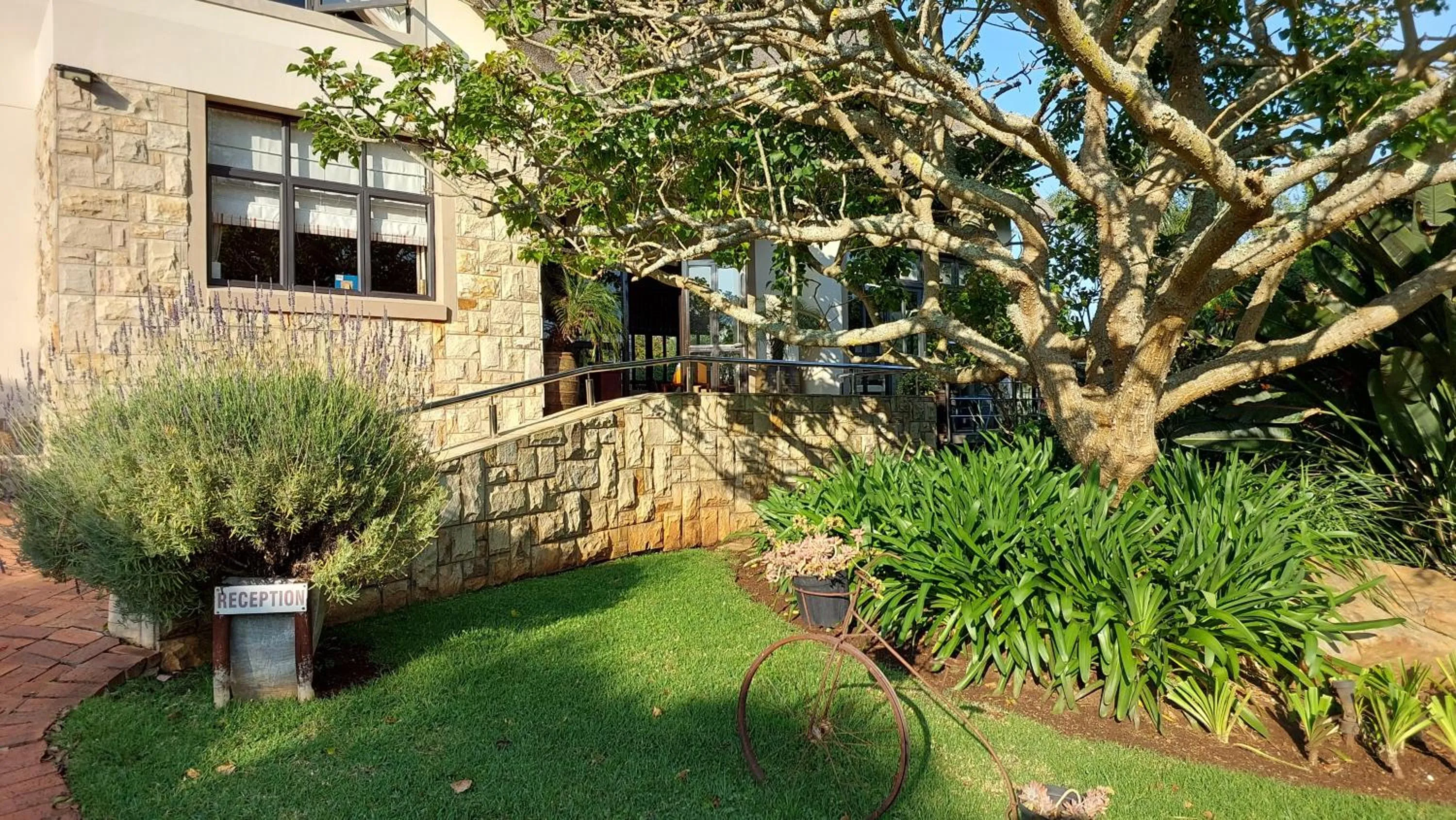 Garden in Paradise Cove