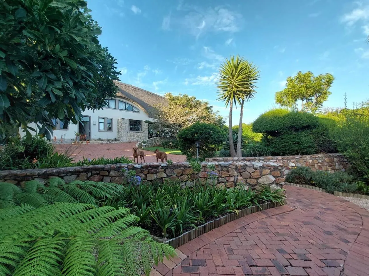 Property building in Paradise Cove