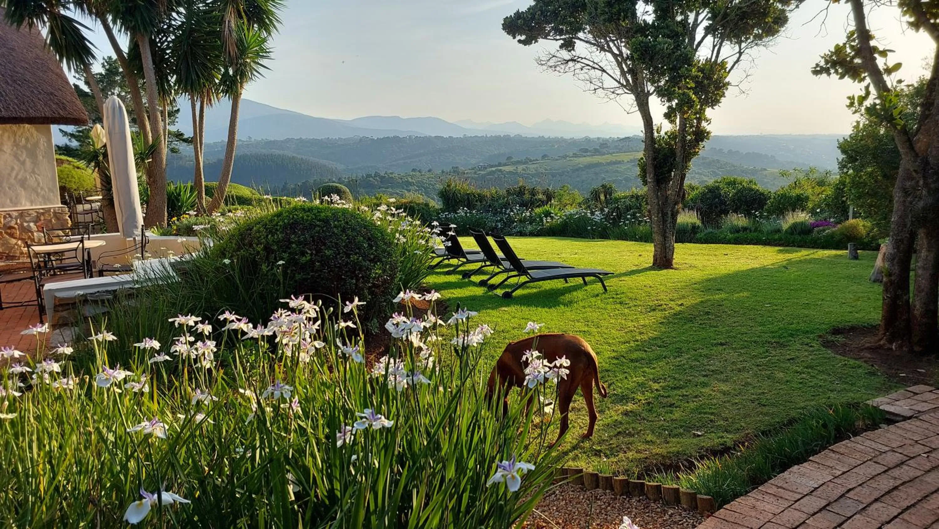 Garden in Paradise Cove