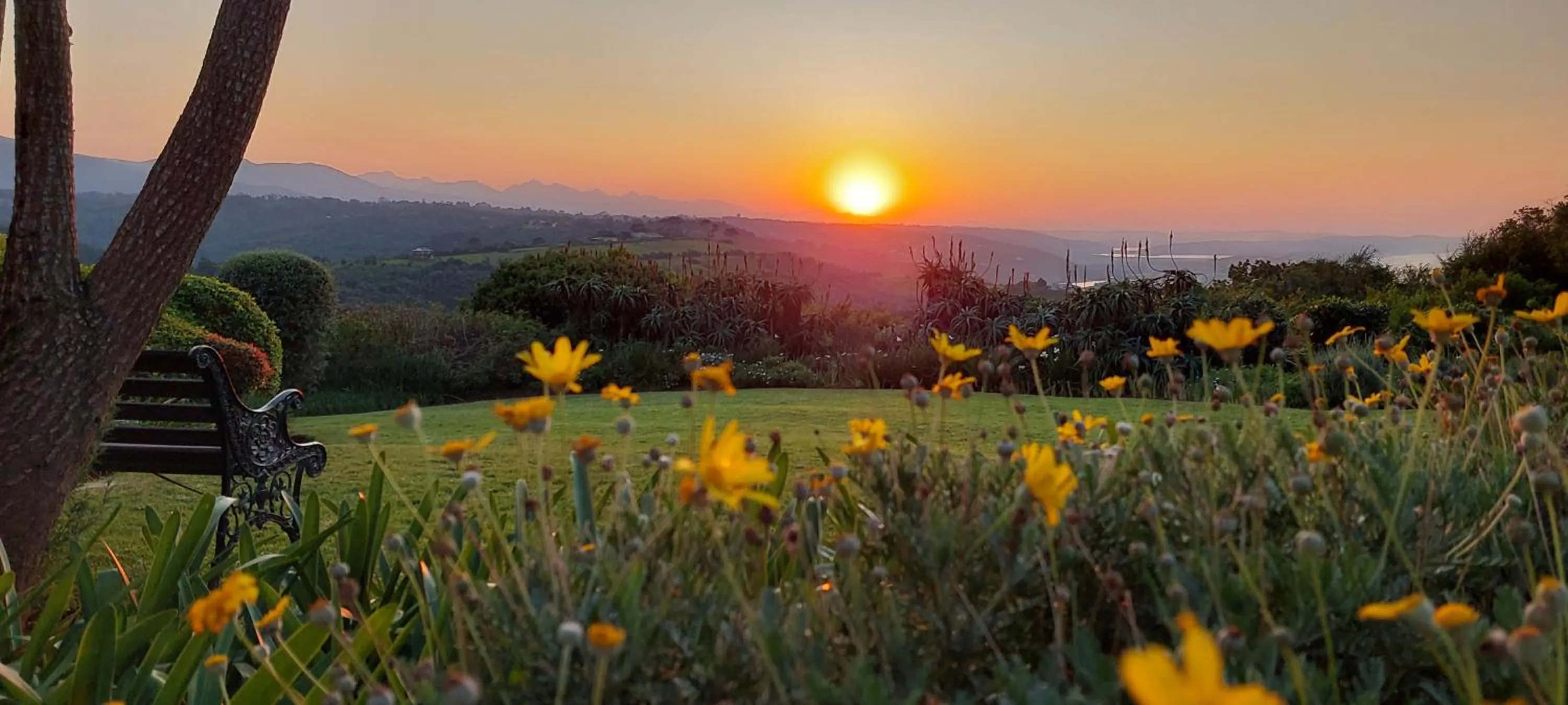 Natural landscape in Paradise Cove