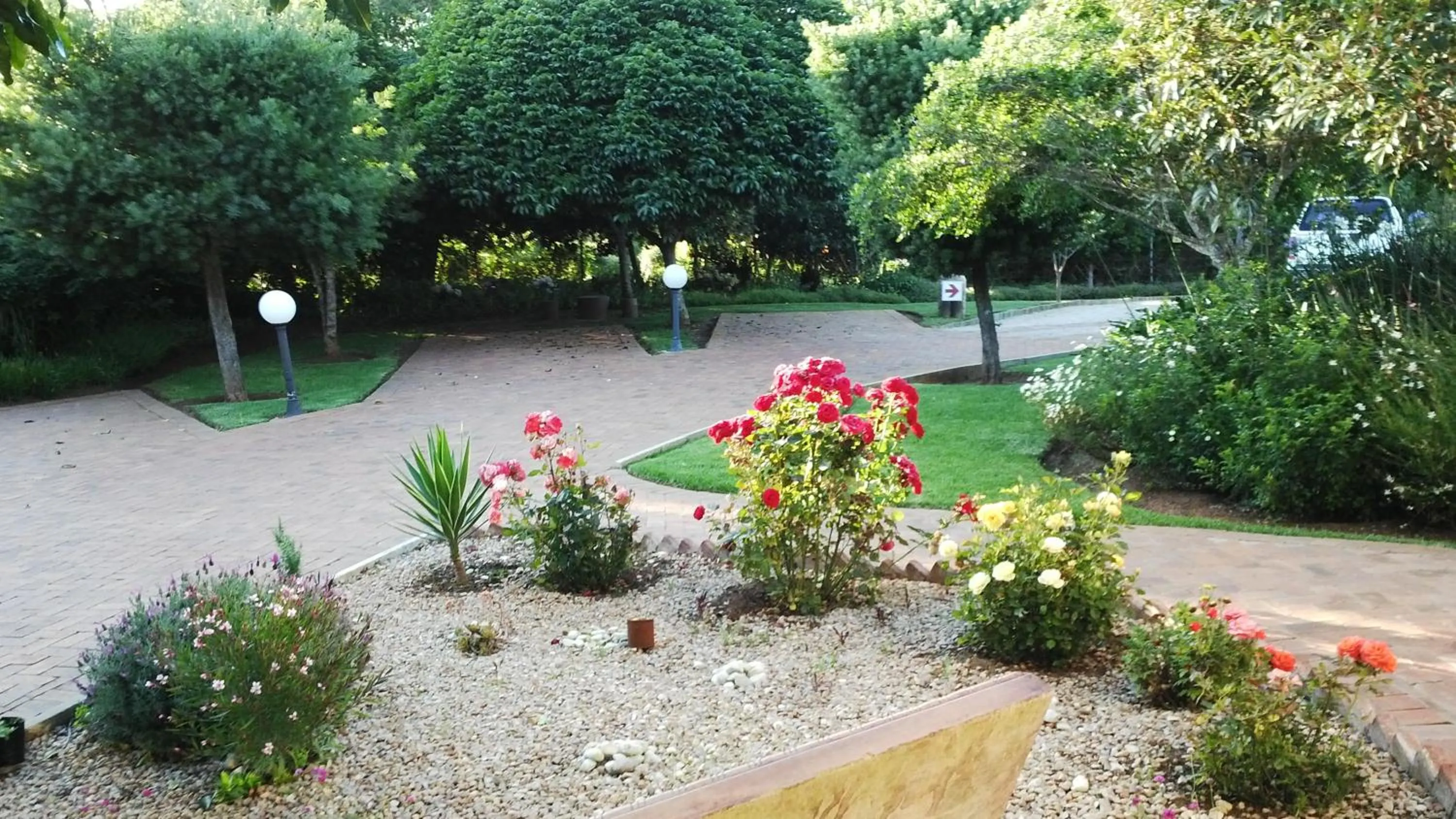 Garden in Paradise Cove