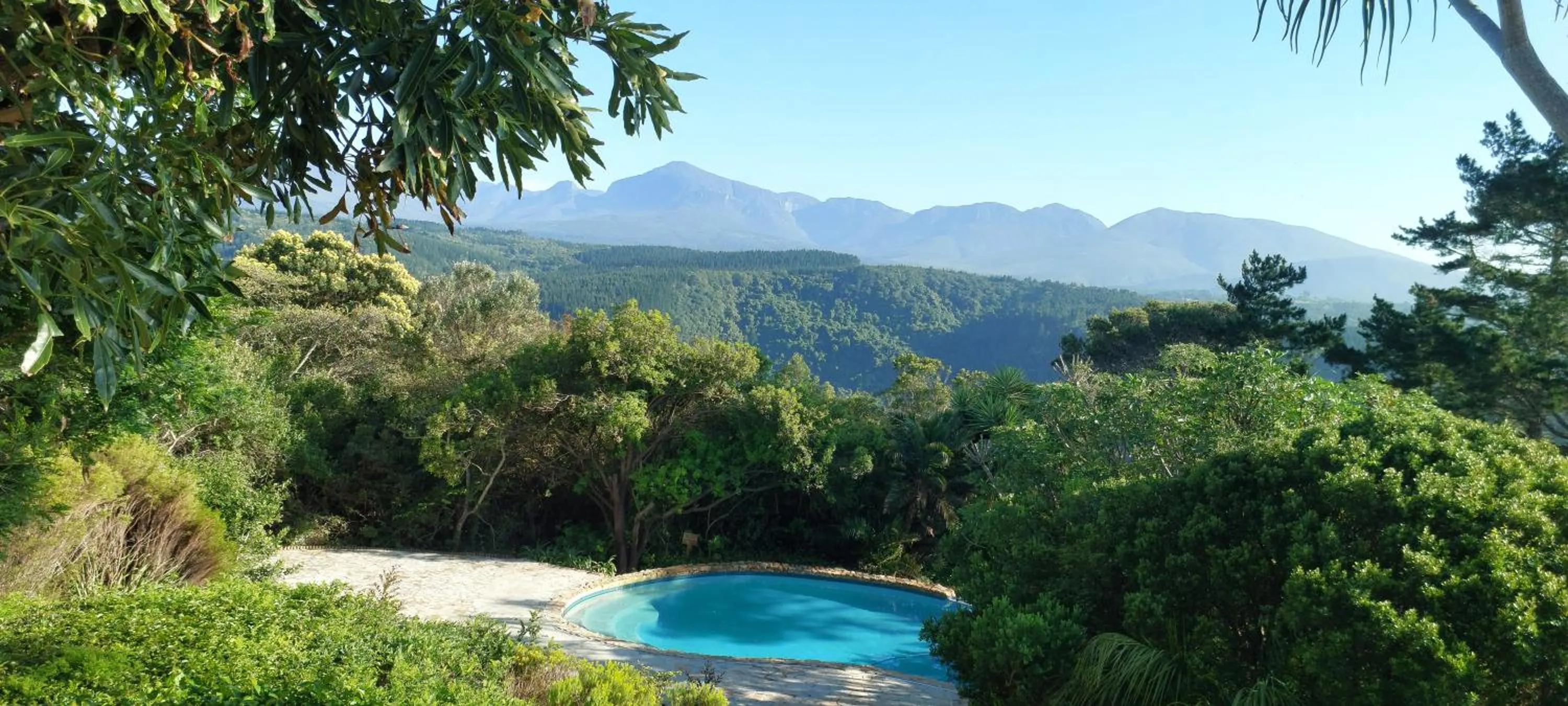 Pool view in Paradise Cove