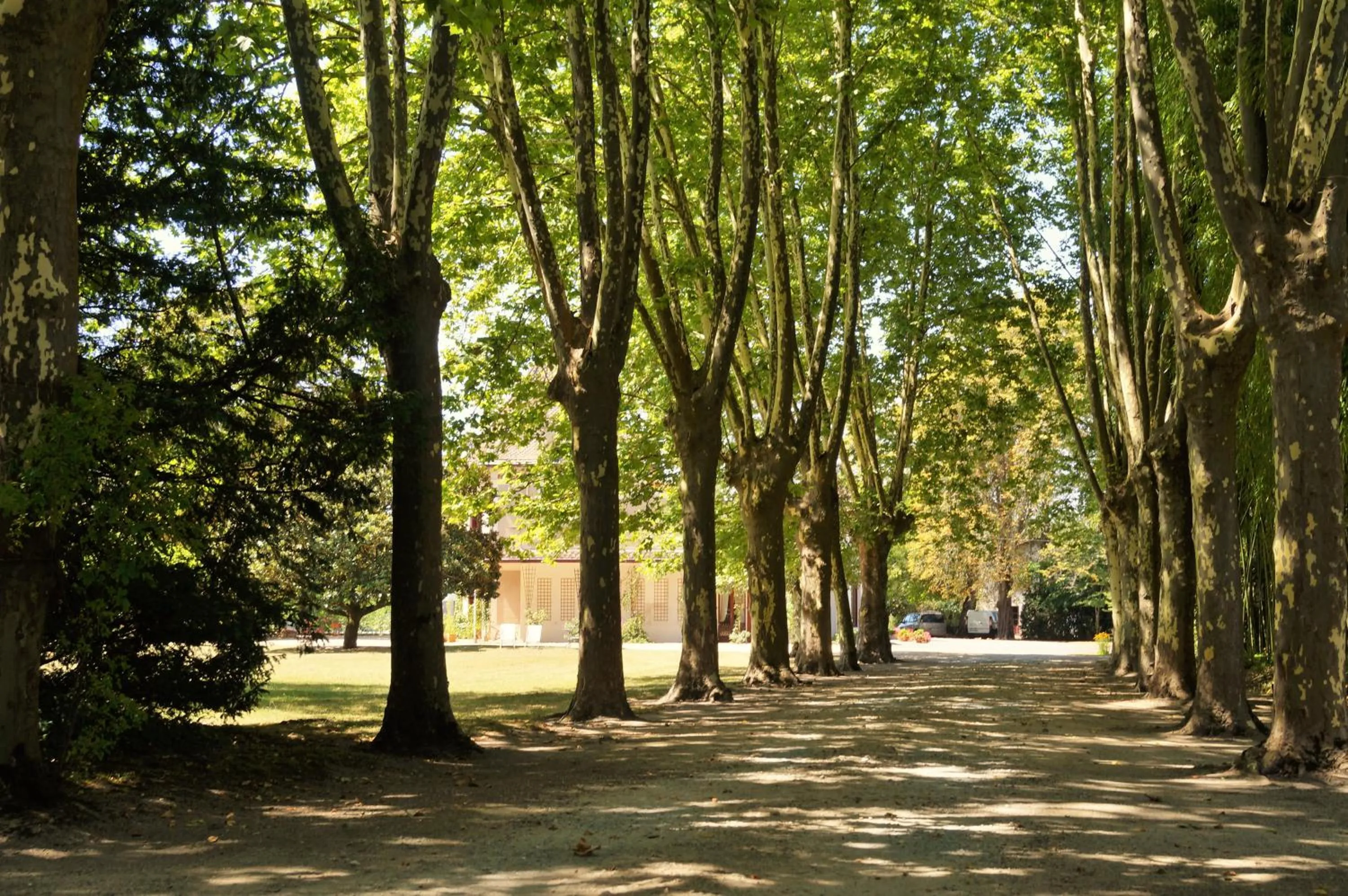 Natural landscape in Les Luz - Chambres d'hôtes