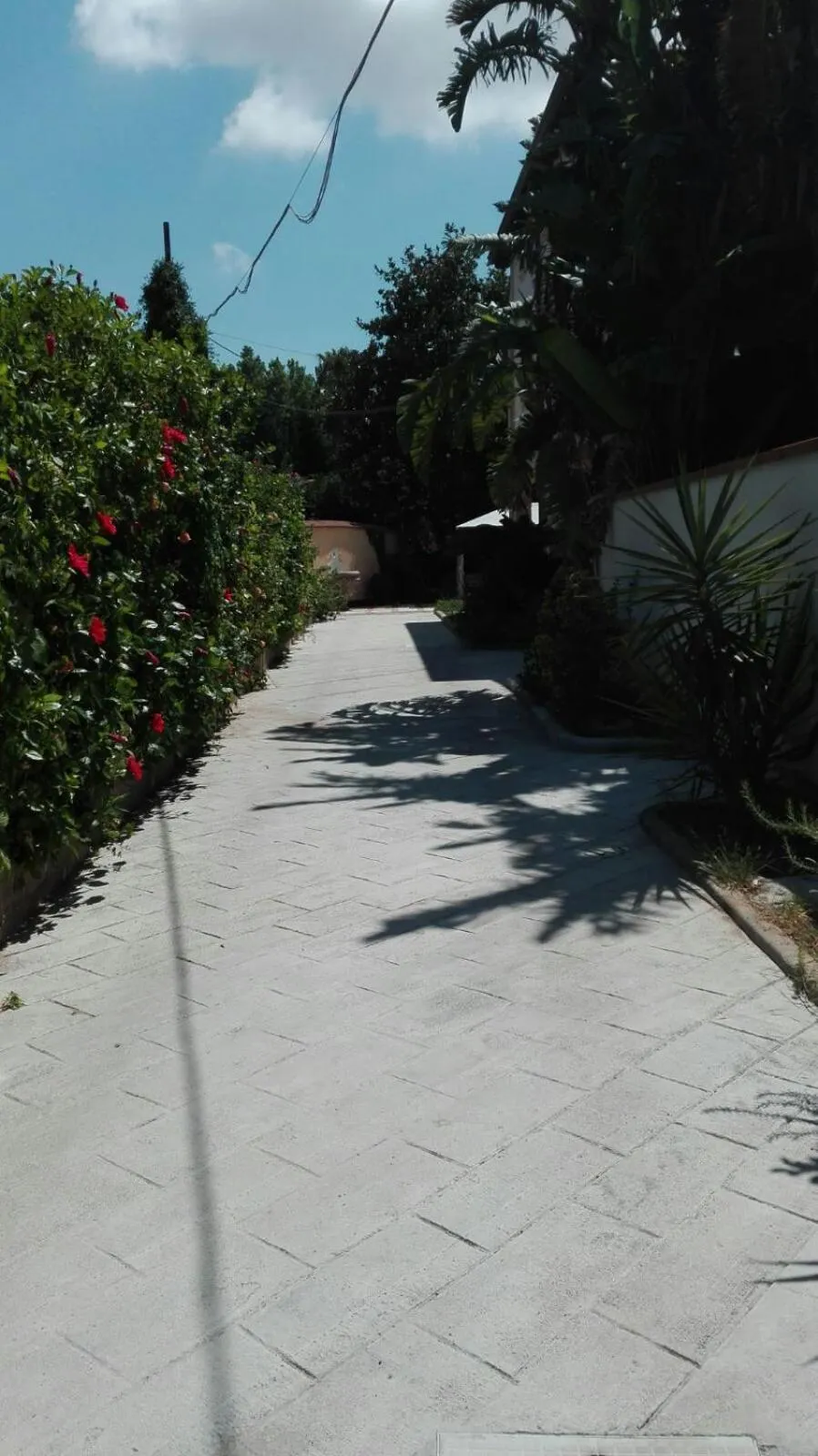 Villa Antonella rooms Mondello