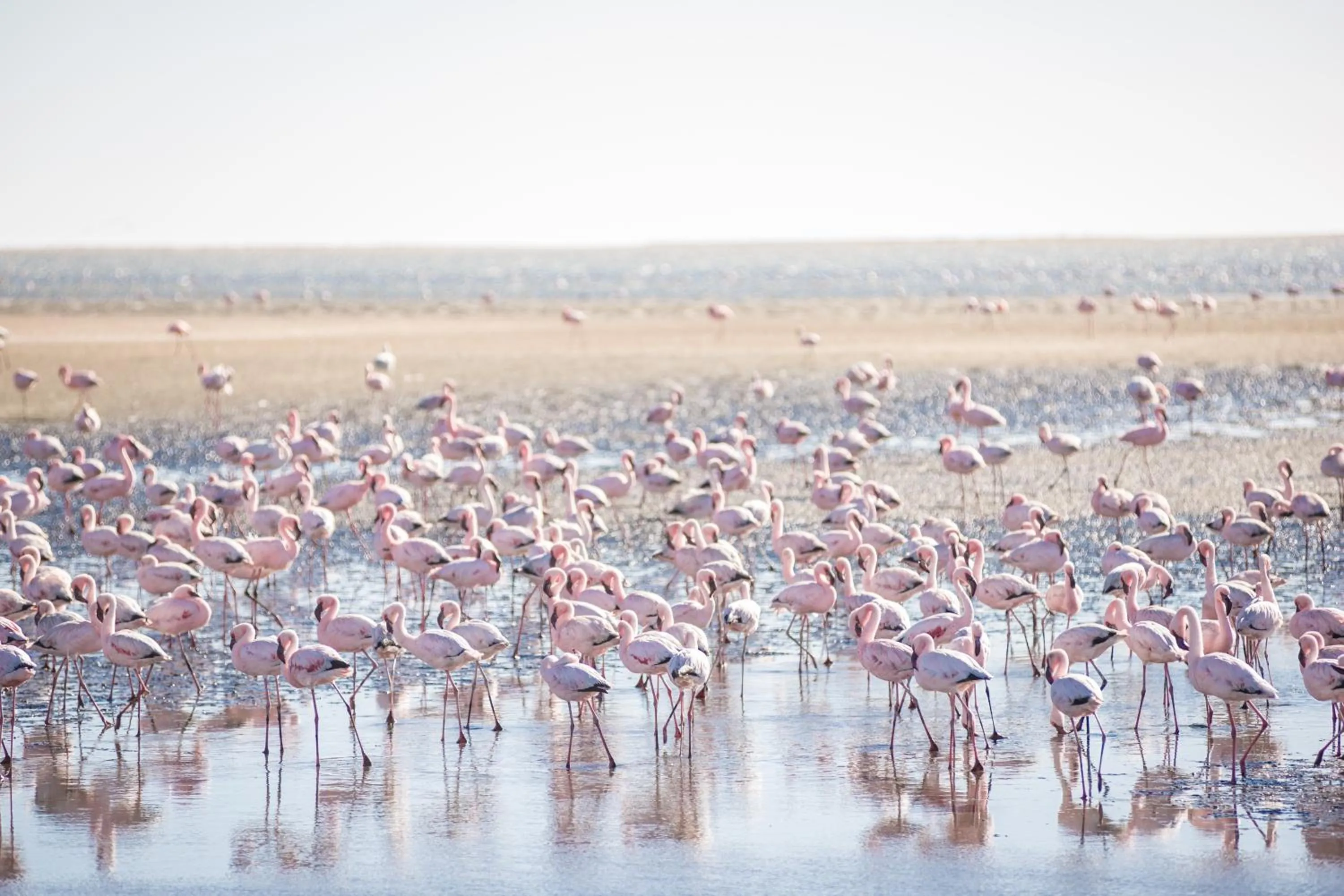 Natural landscape in Flamingo Villas Boutique Hotel