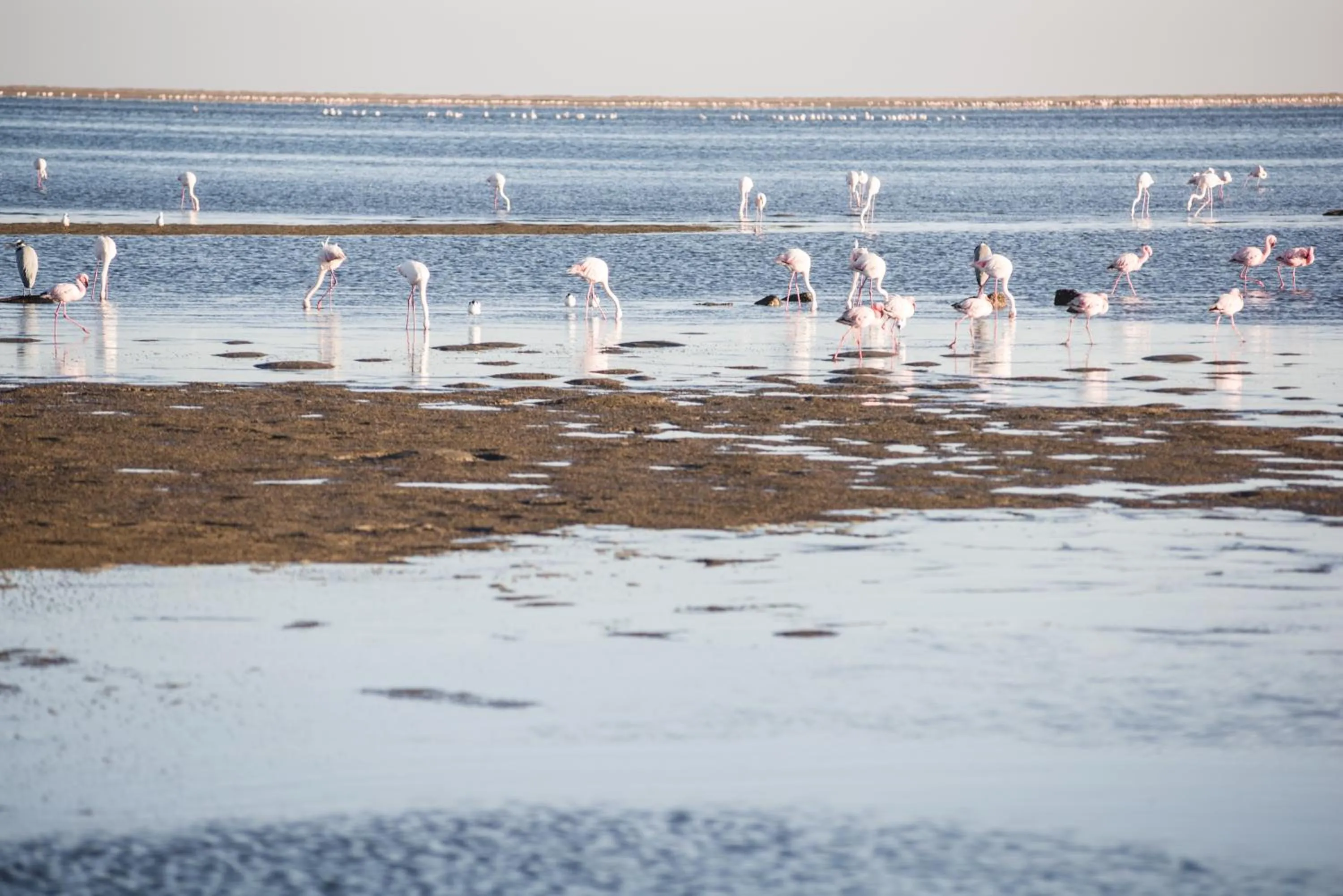 Natural landscape in Flamingo Villas Boutique Hotel