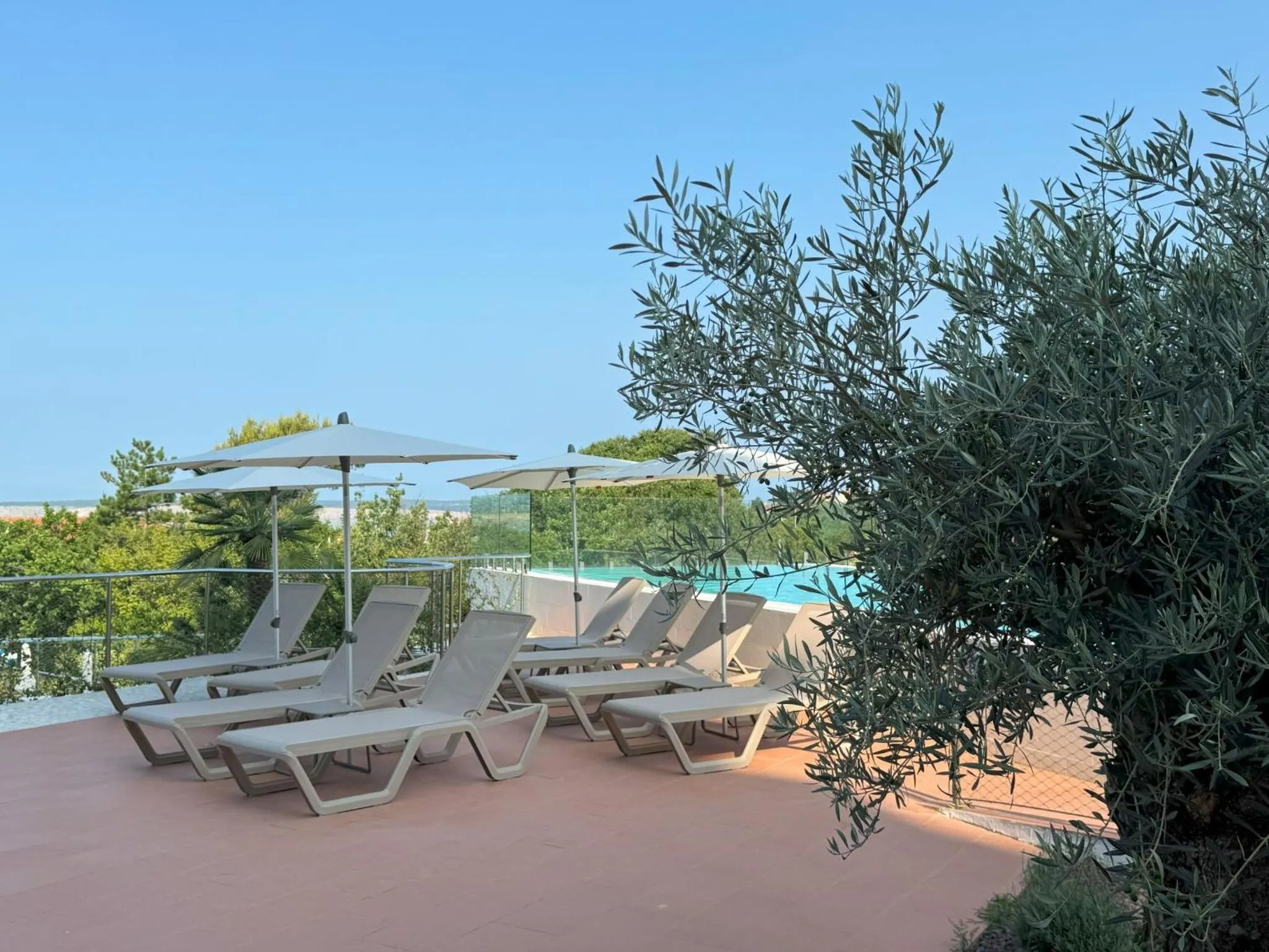 Swimming pool in Hotel Omorika