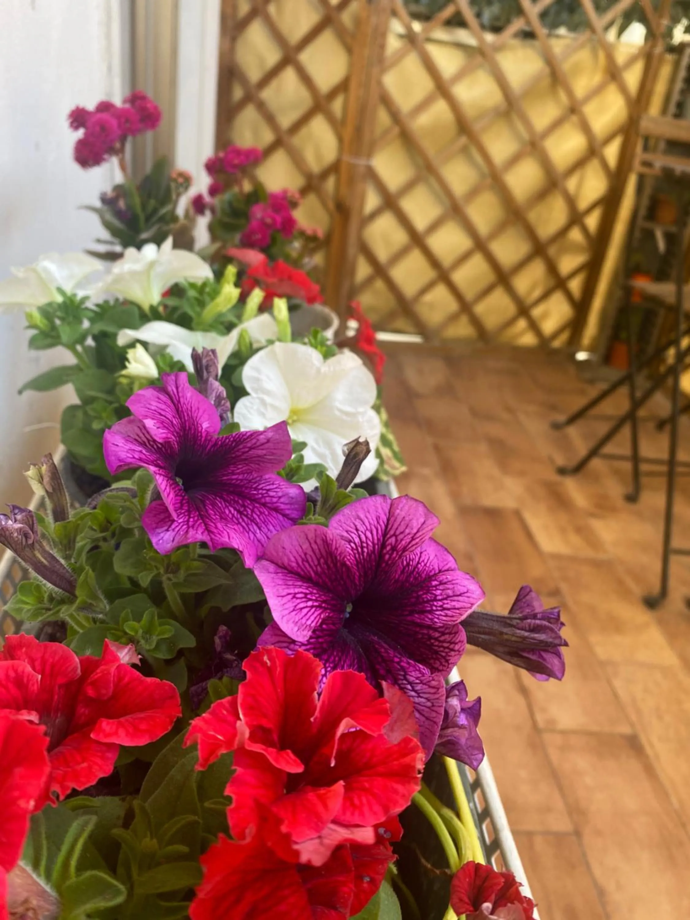 Balcony/Terrace in LeAlbe di Sicilia