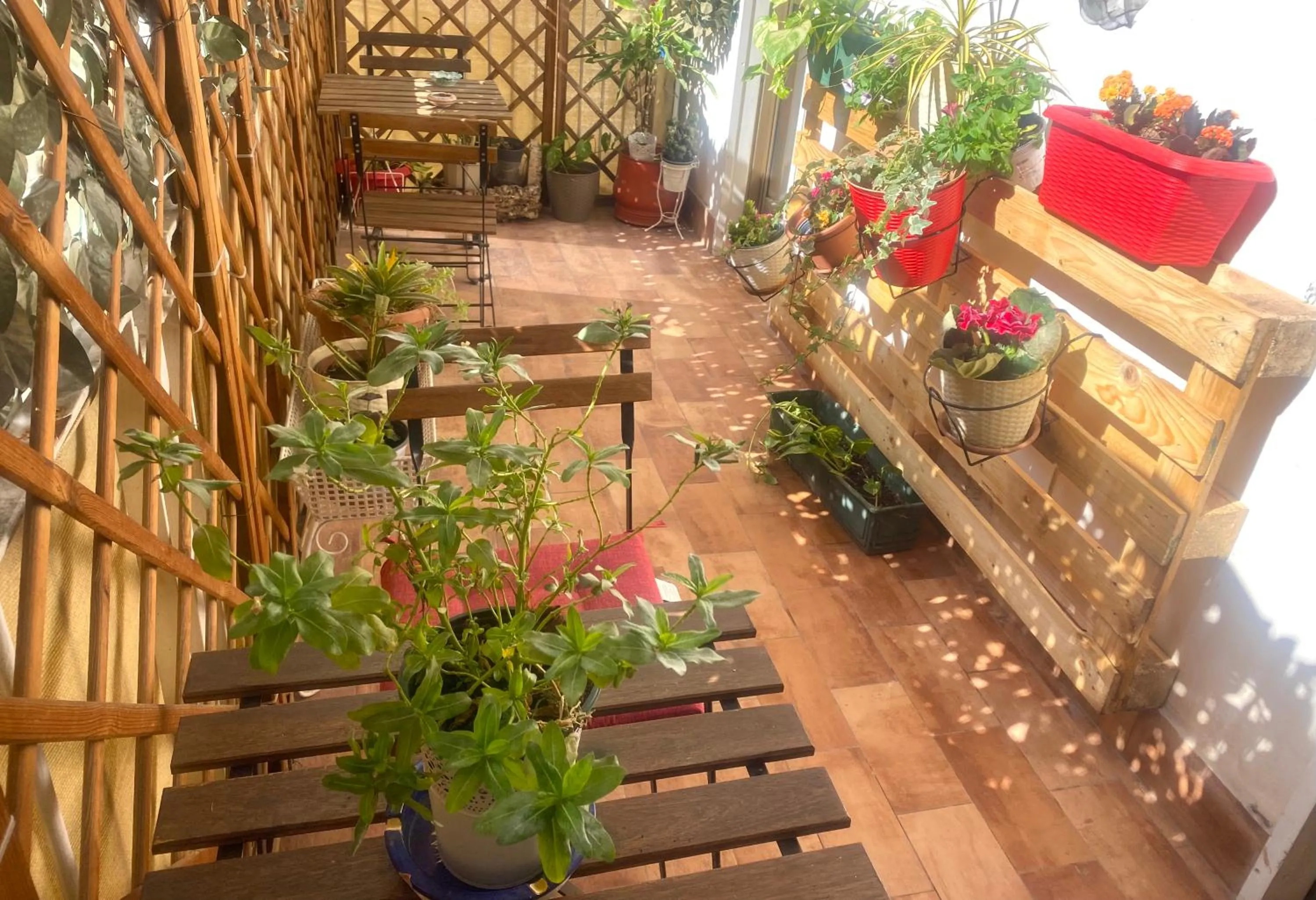 Balcony/Terrace in LeAlbe di Sicilia