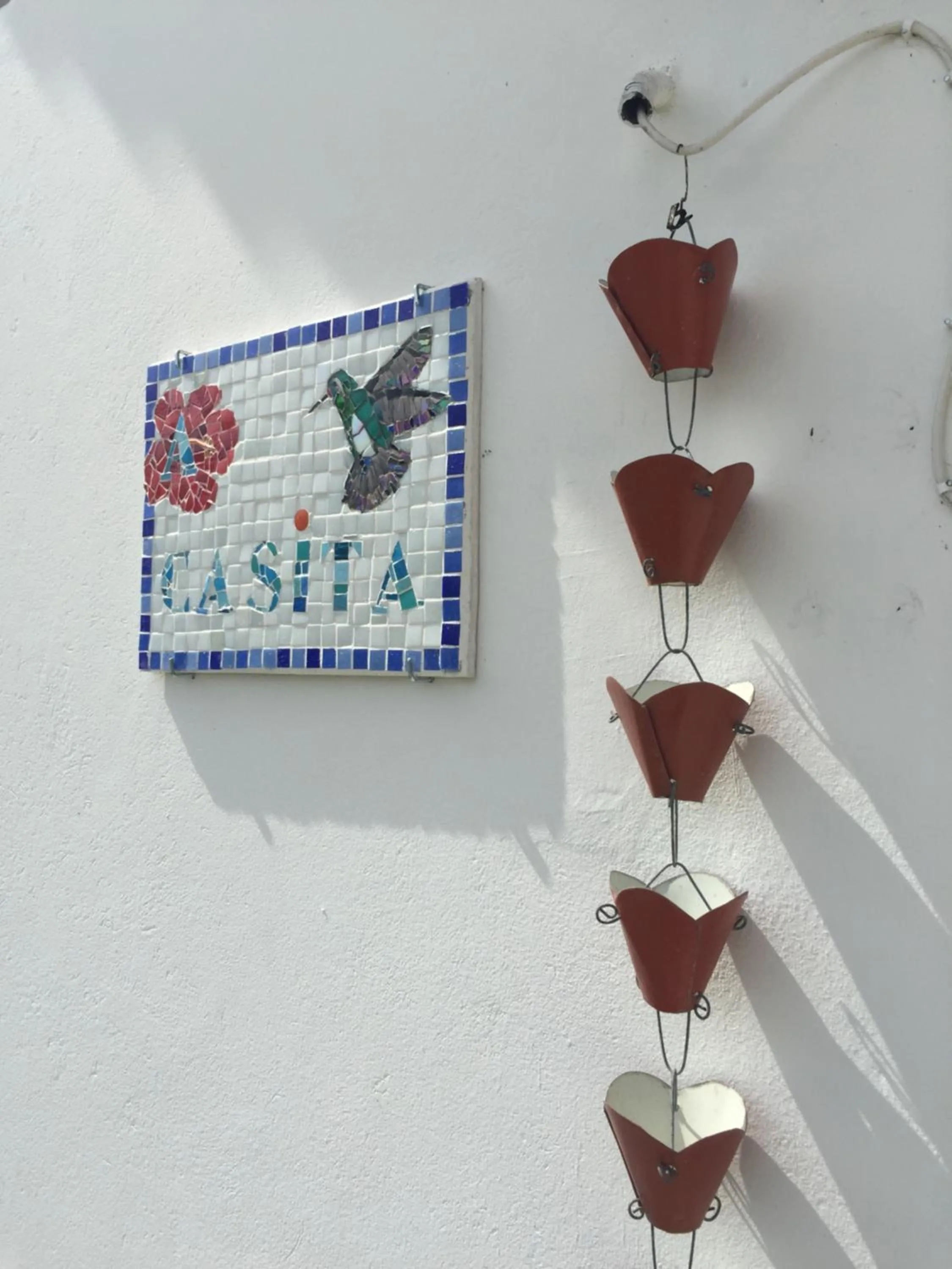 Les Gîtes de CASITA By kreyol animal