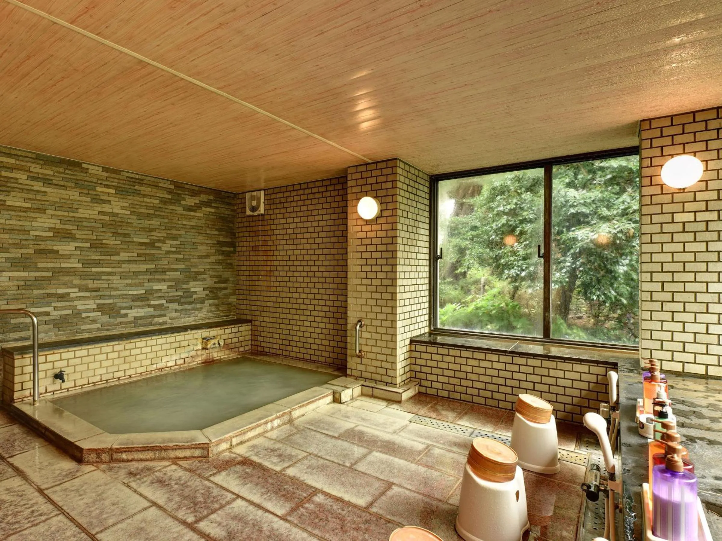 Hot Spring Bath in Mizu no Kaori