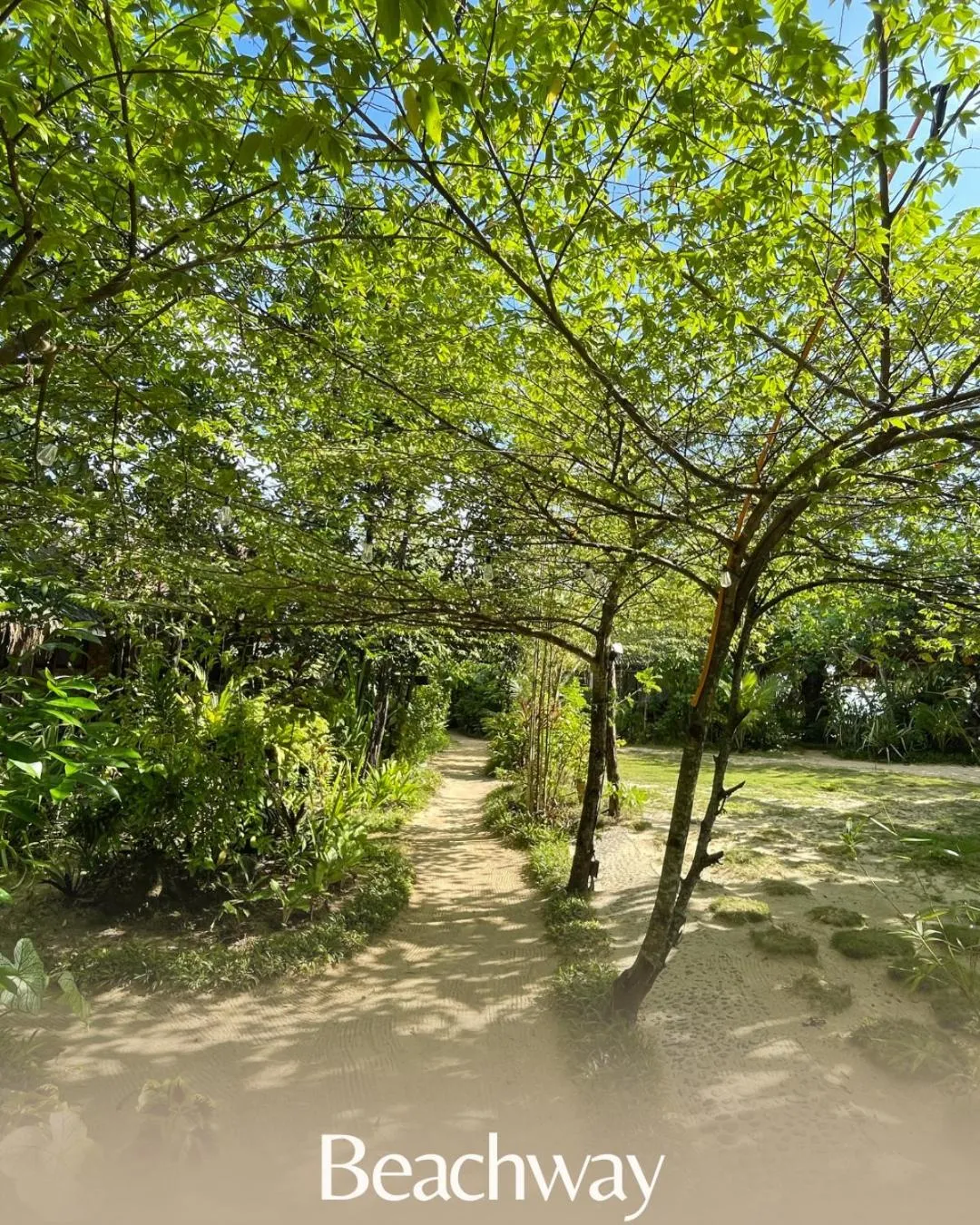Garden in Patrick's on the Beach Resort