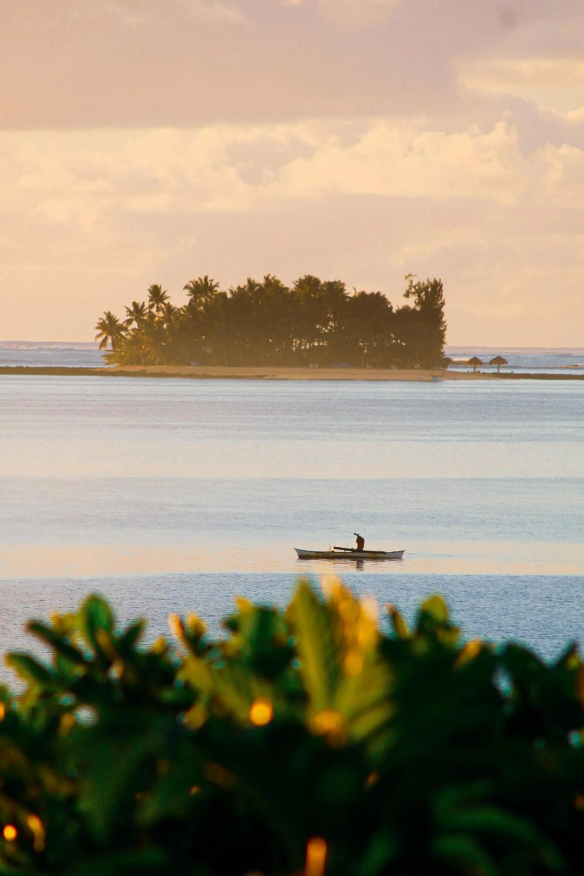 Natural landscape in Patrick's on the Beach Resort
