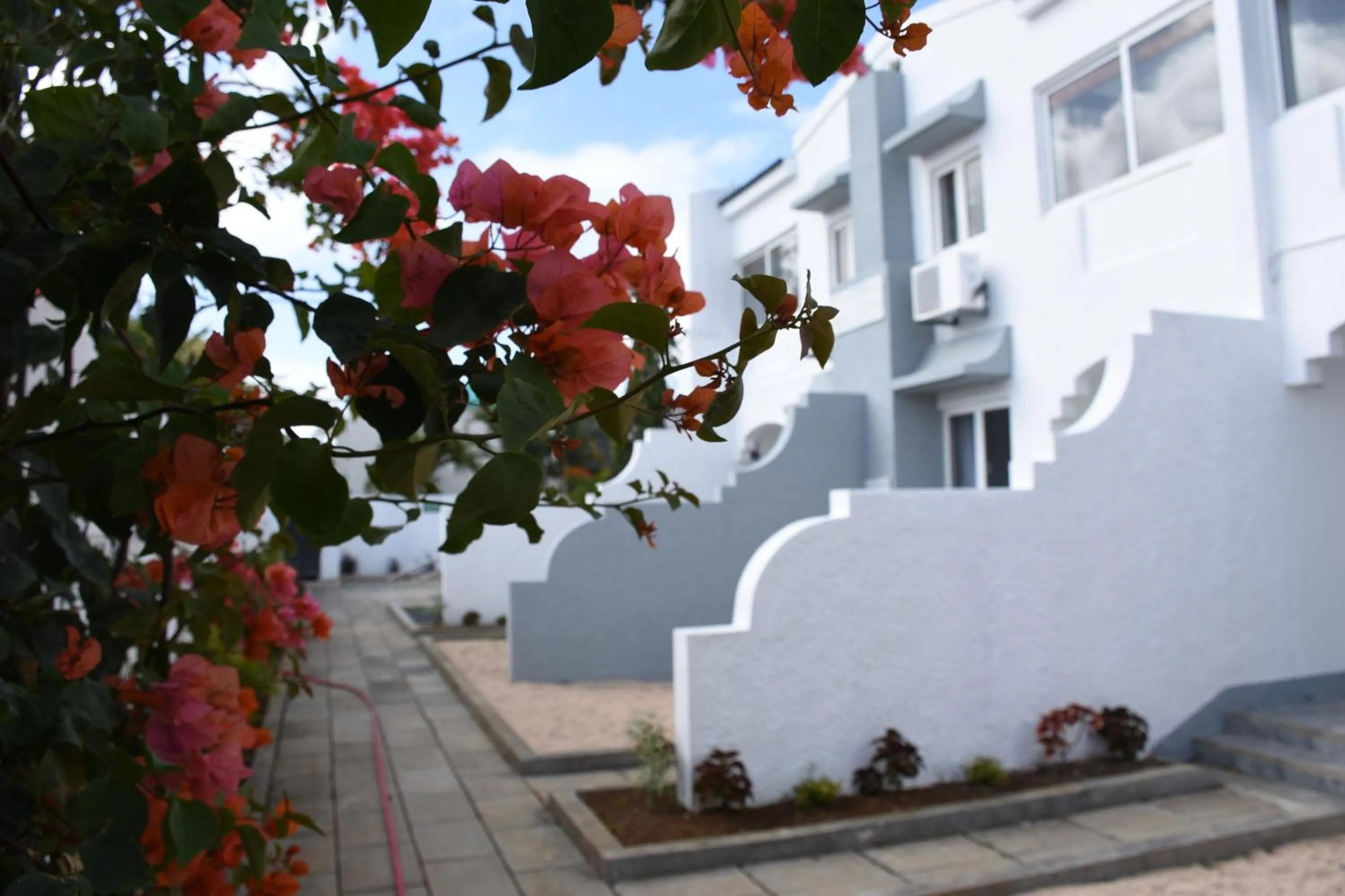 Balcony/Terrace in Stella Rina "Adults Only"