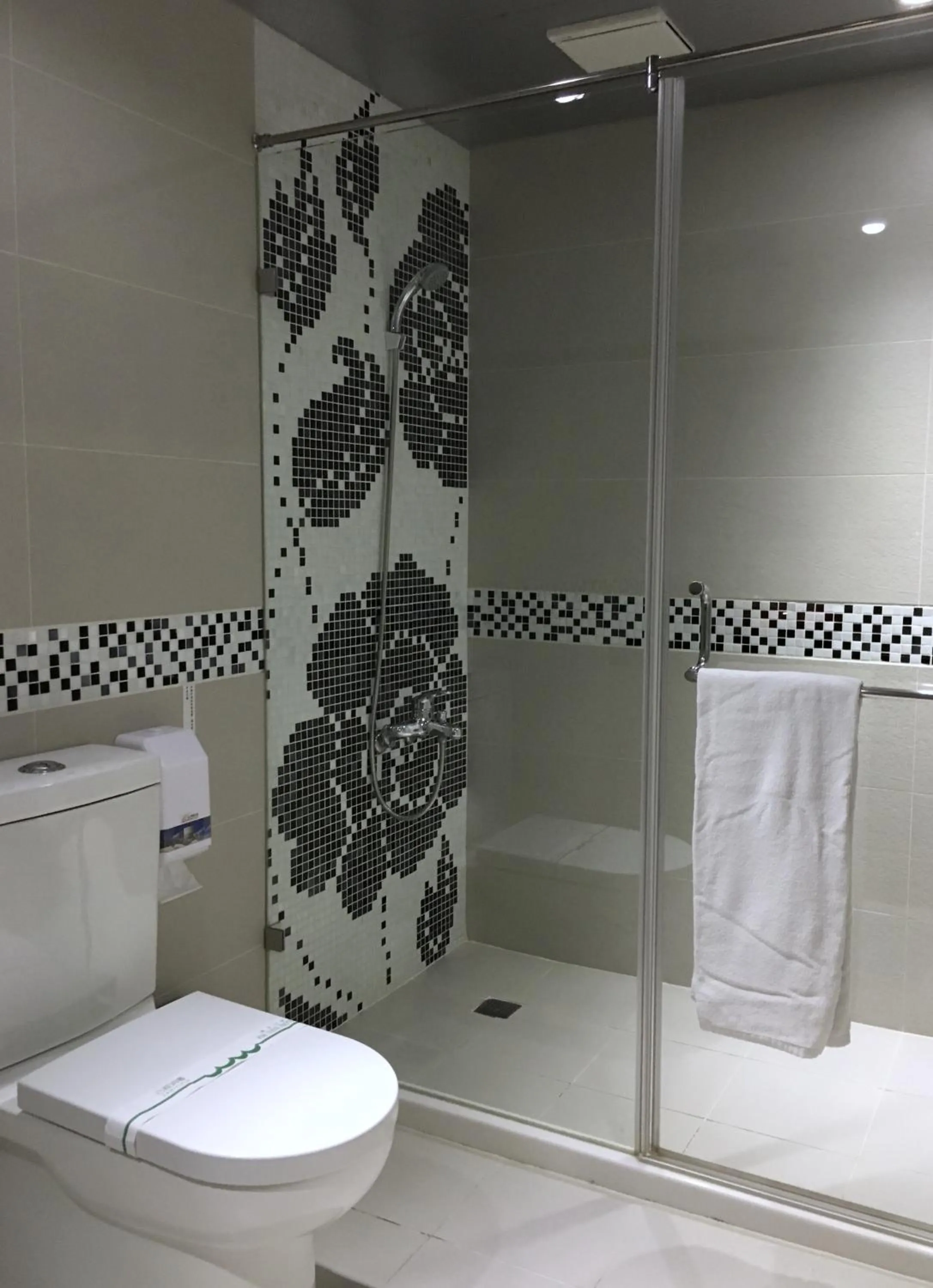 Shower in Wan Tai Hotel